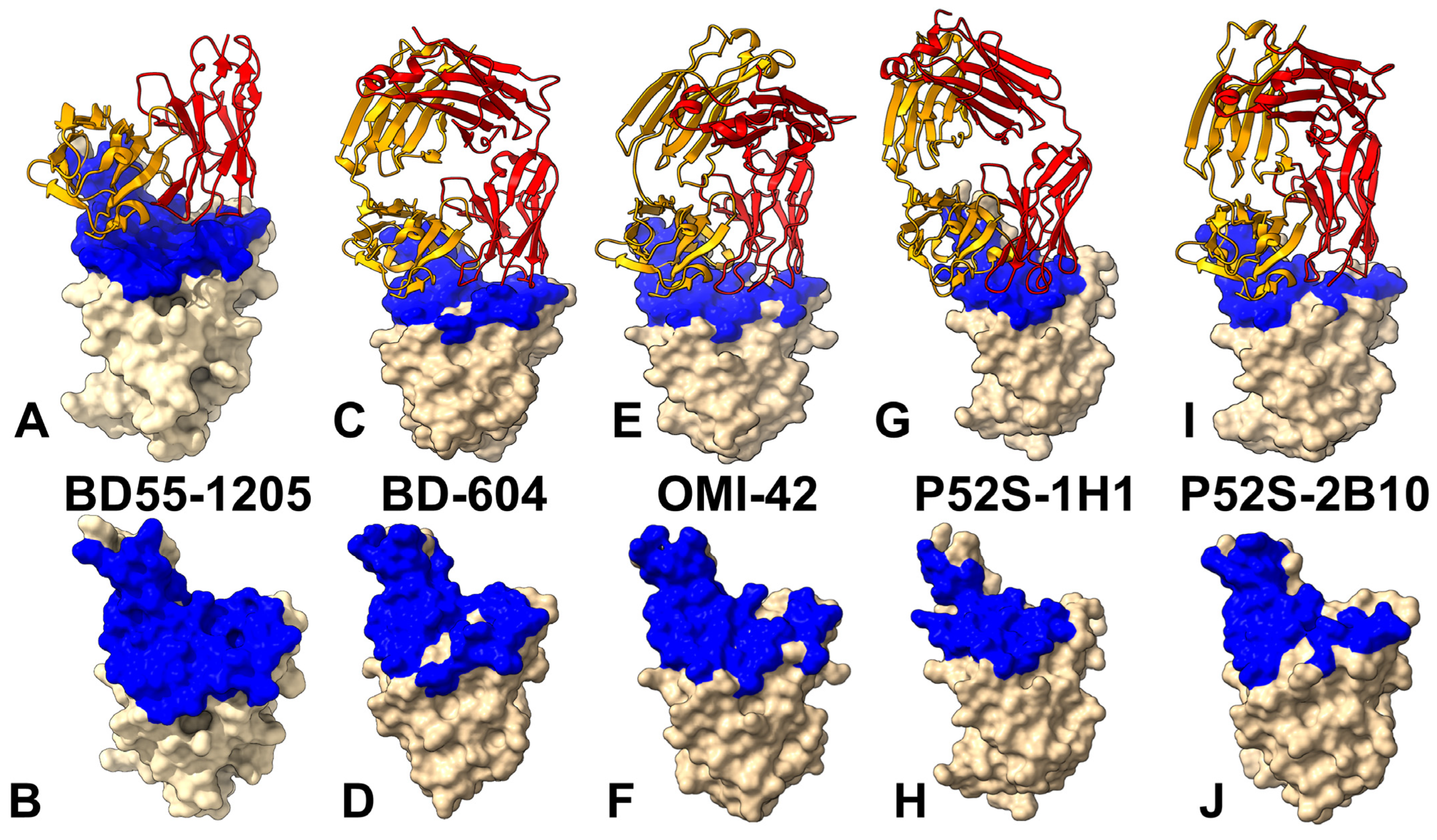 Viruses 17 01029 g002
