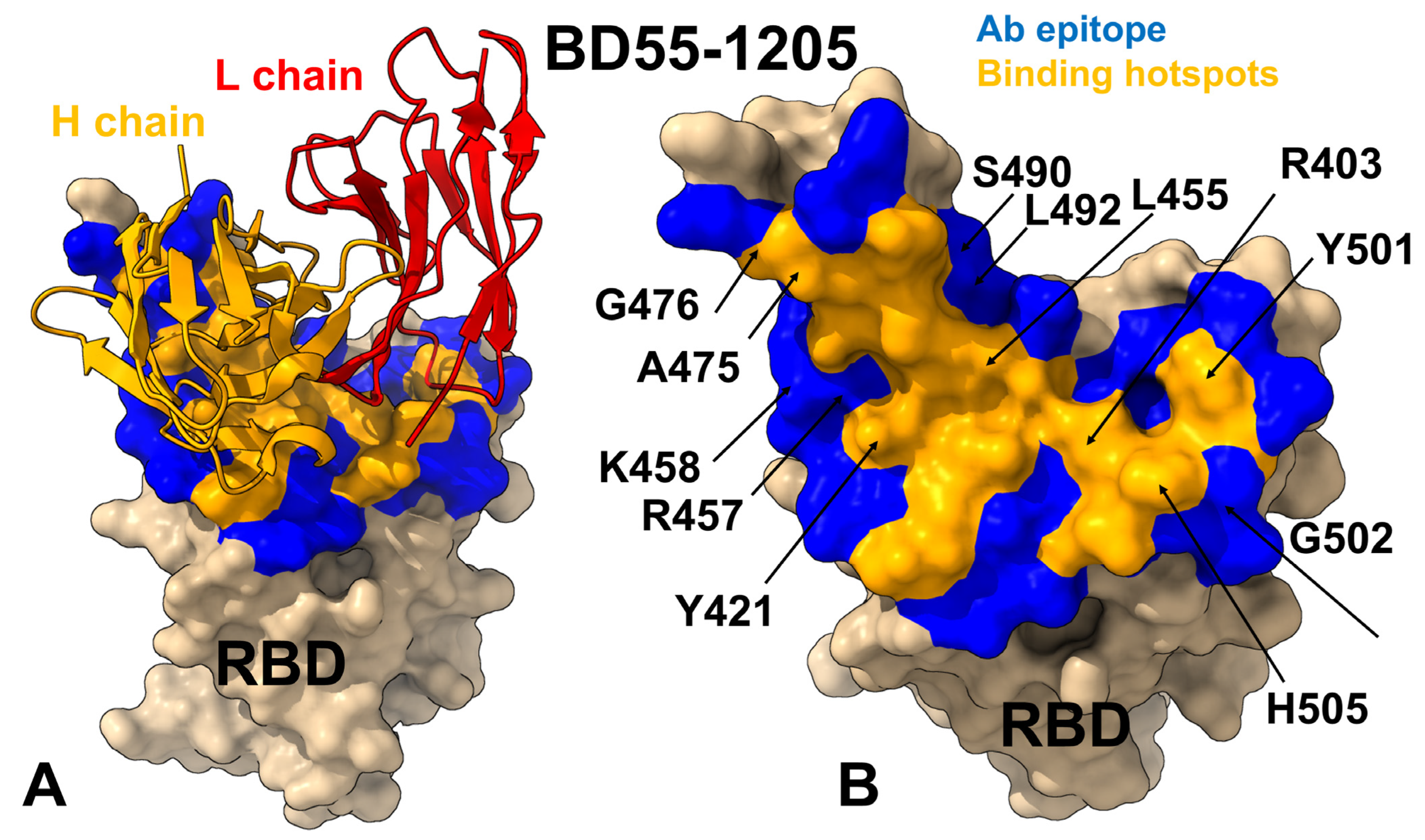 Viruses 17 01029 g005
