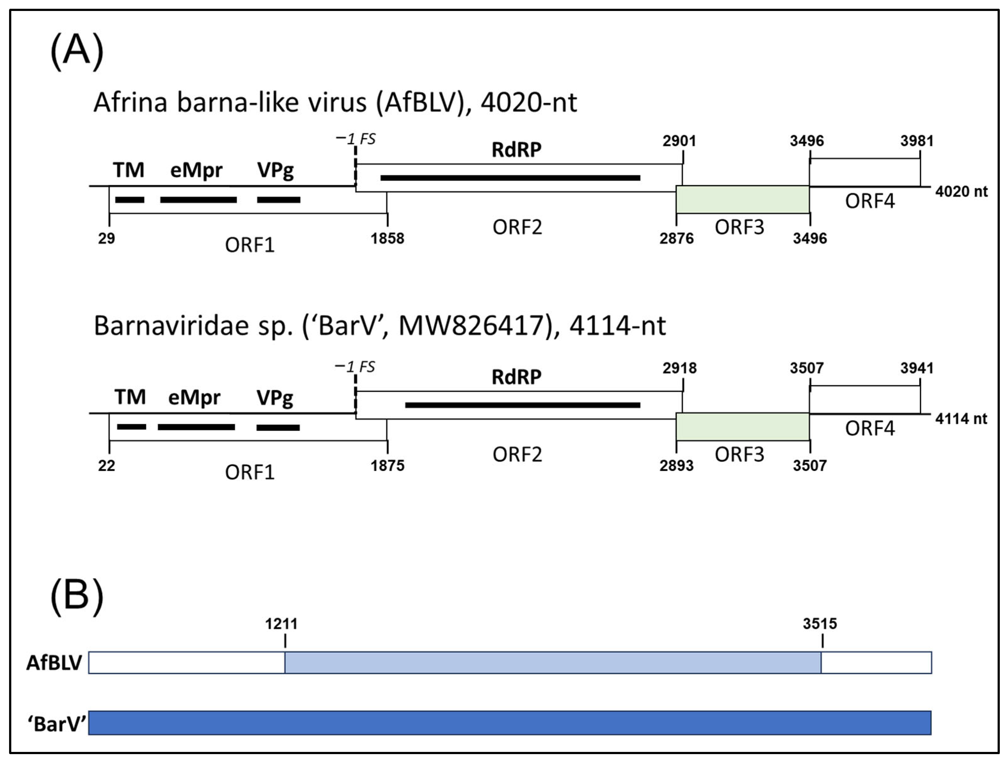 Viruses 17 01032 g001