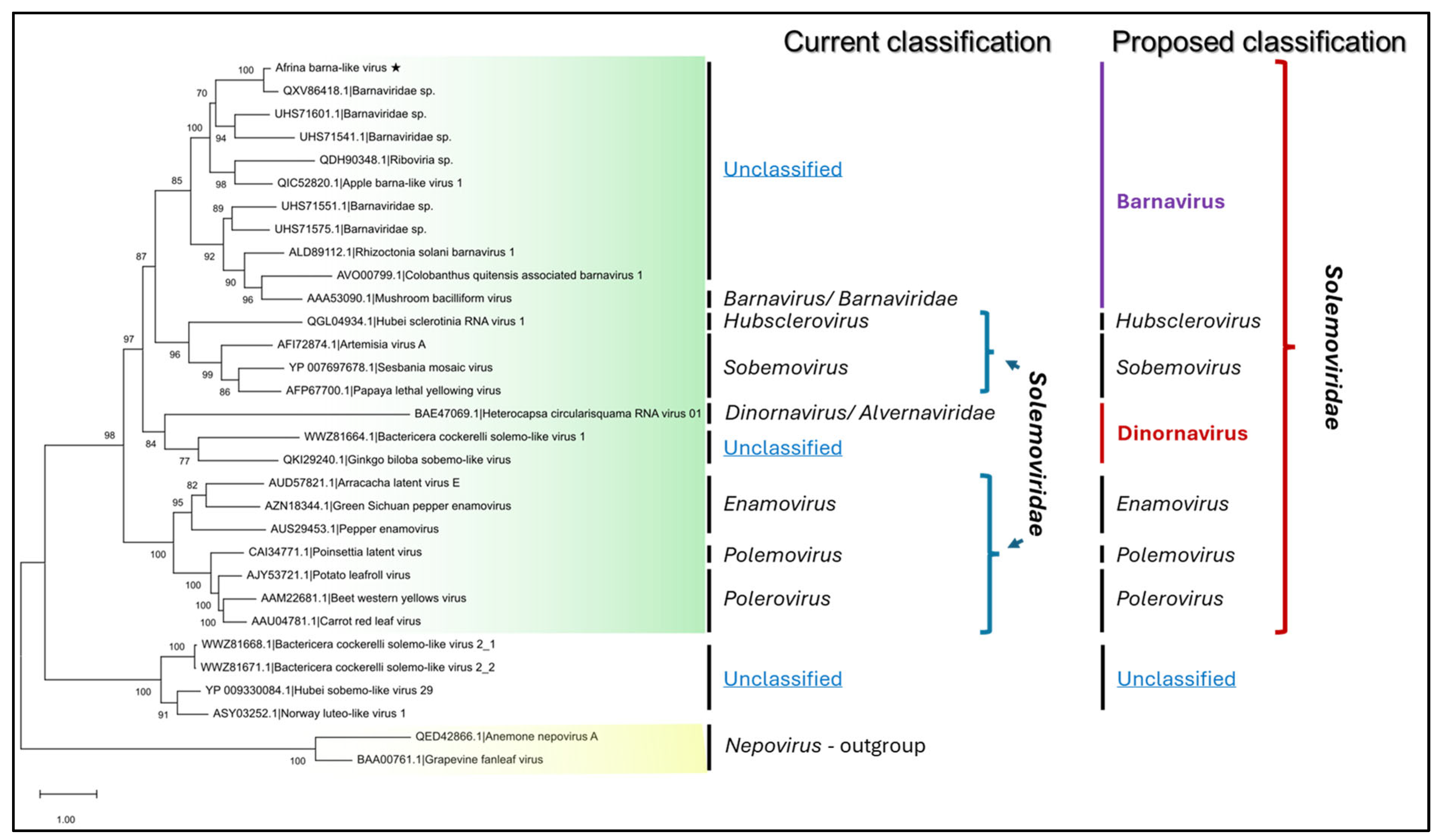Viruses 17 01032 g002