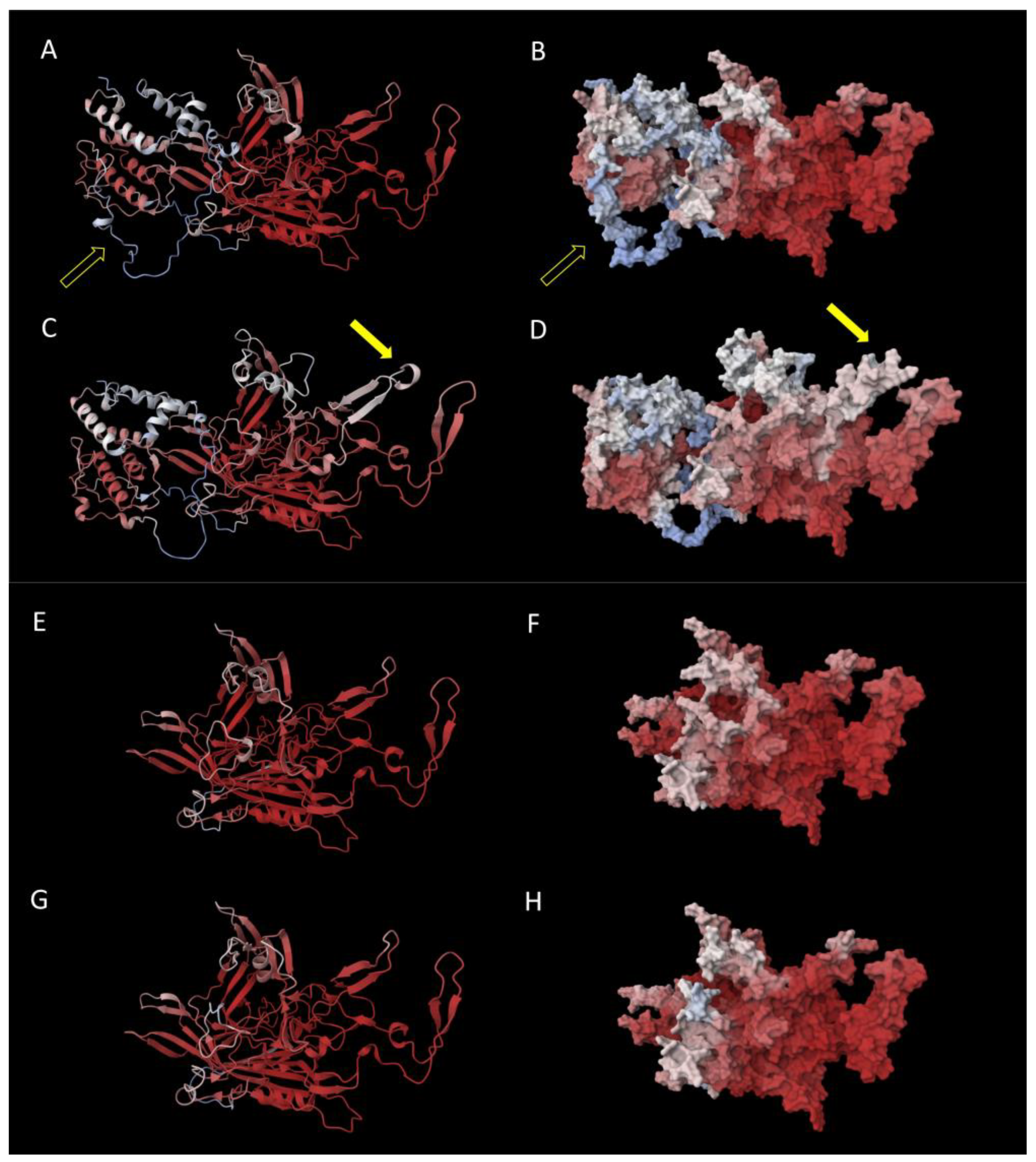 Viruses 17 01034 g002