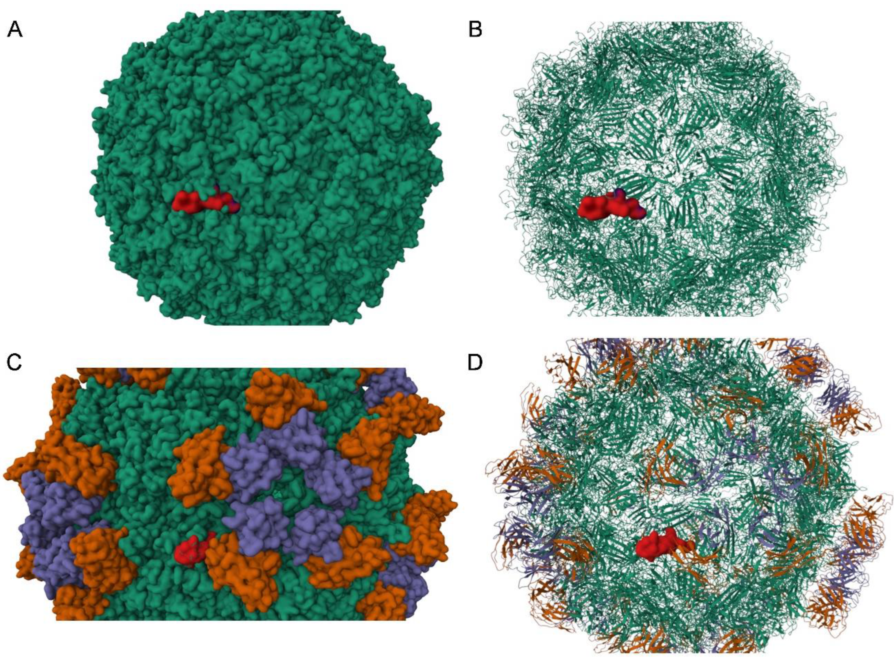 Viruses 17 01034 g003