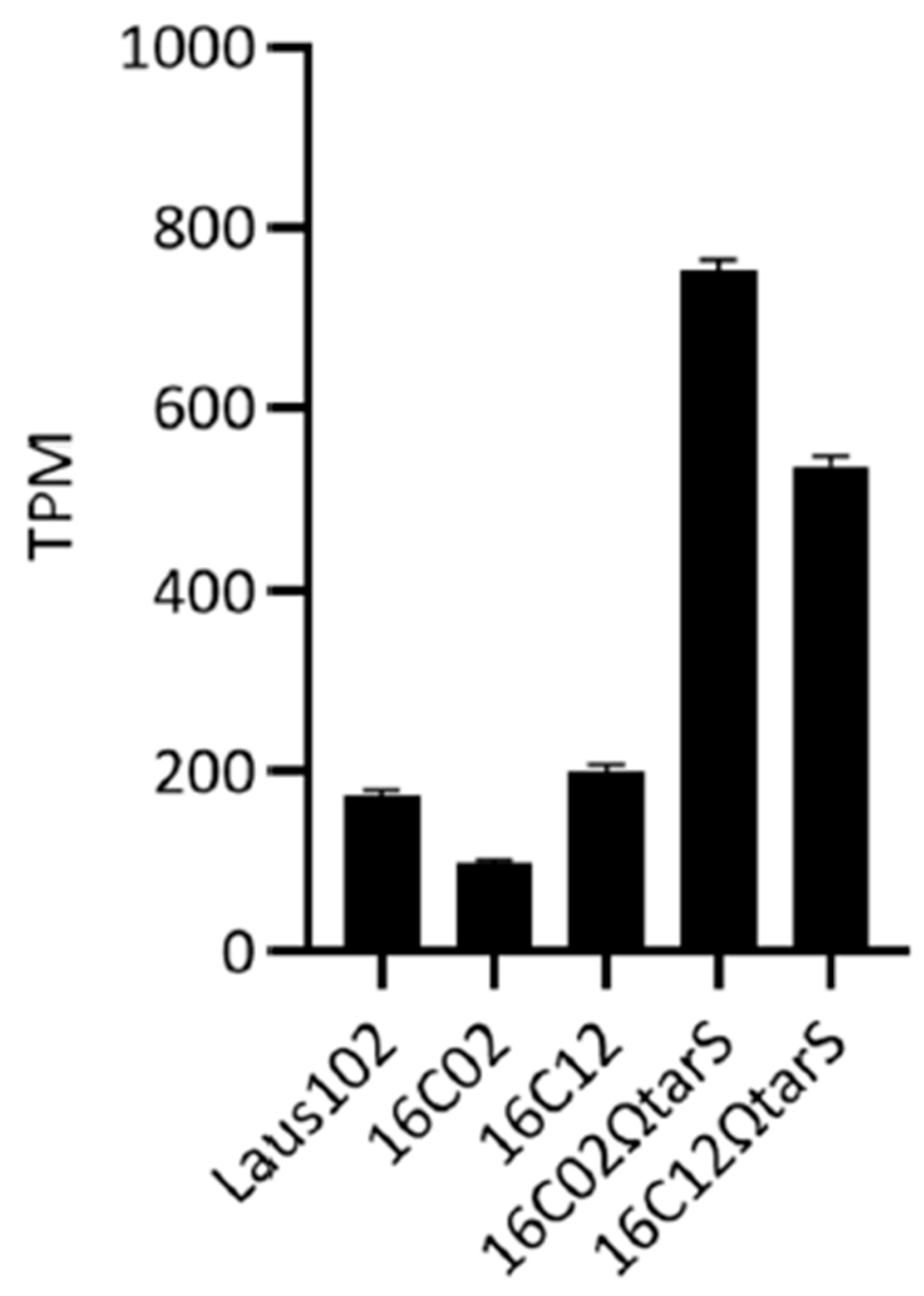 Viruses 17 01039 g002