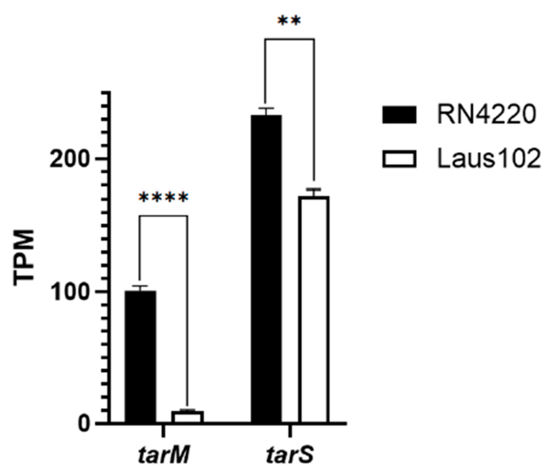 Viruses 17 01039 g006