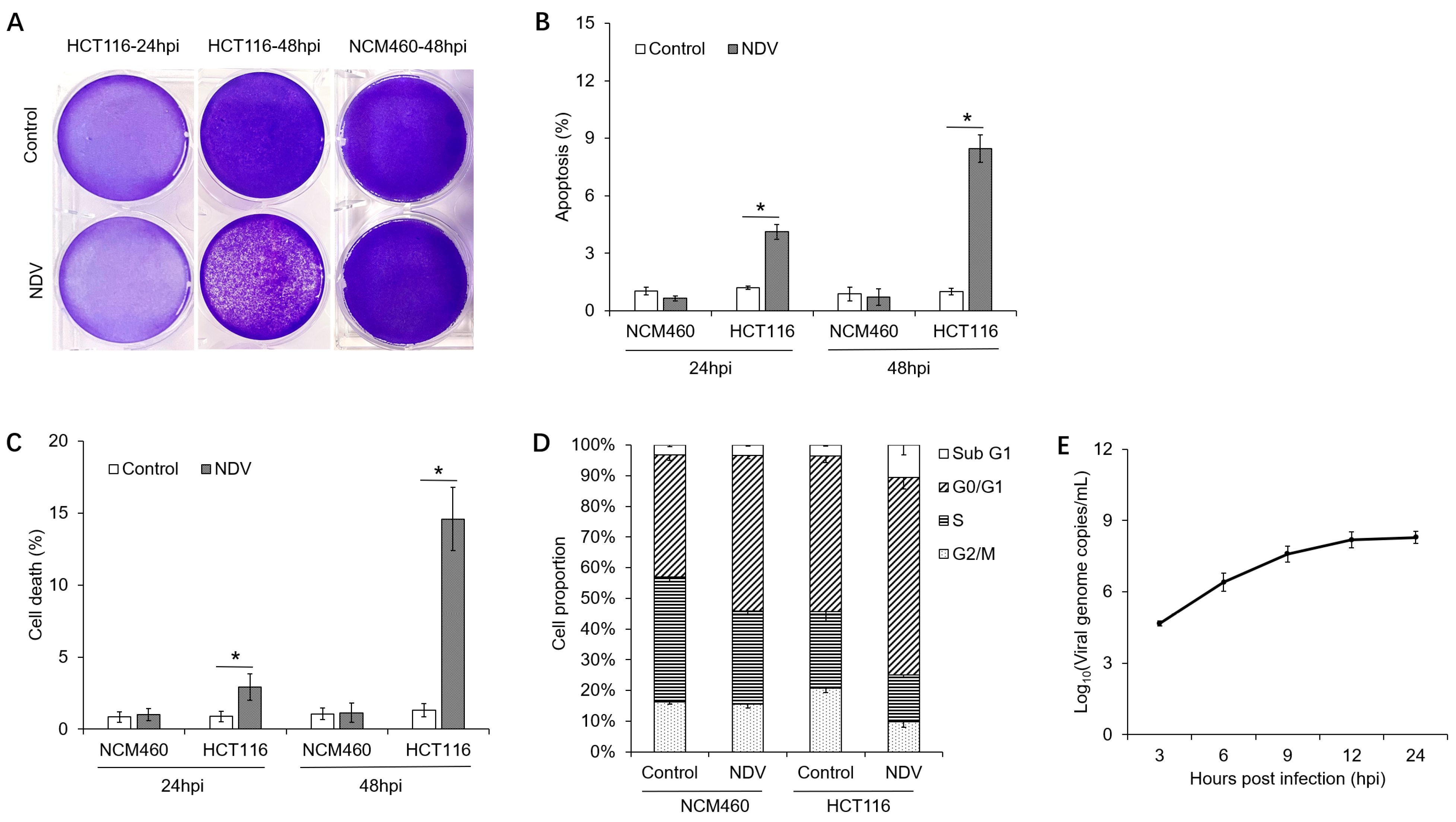 Viruses 17 01043 g001