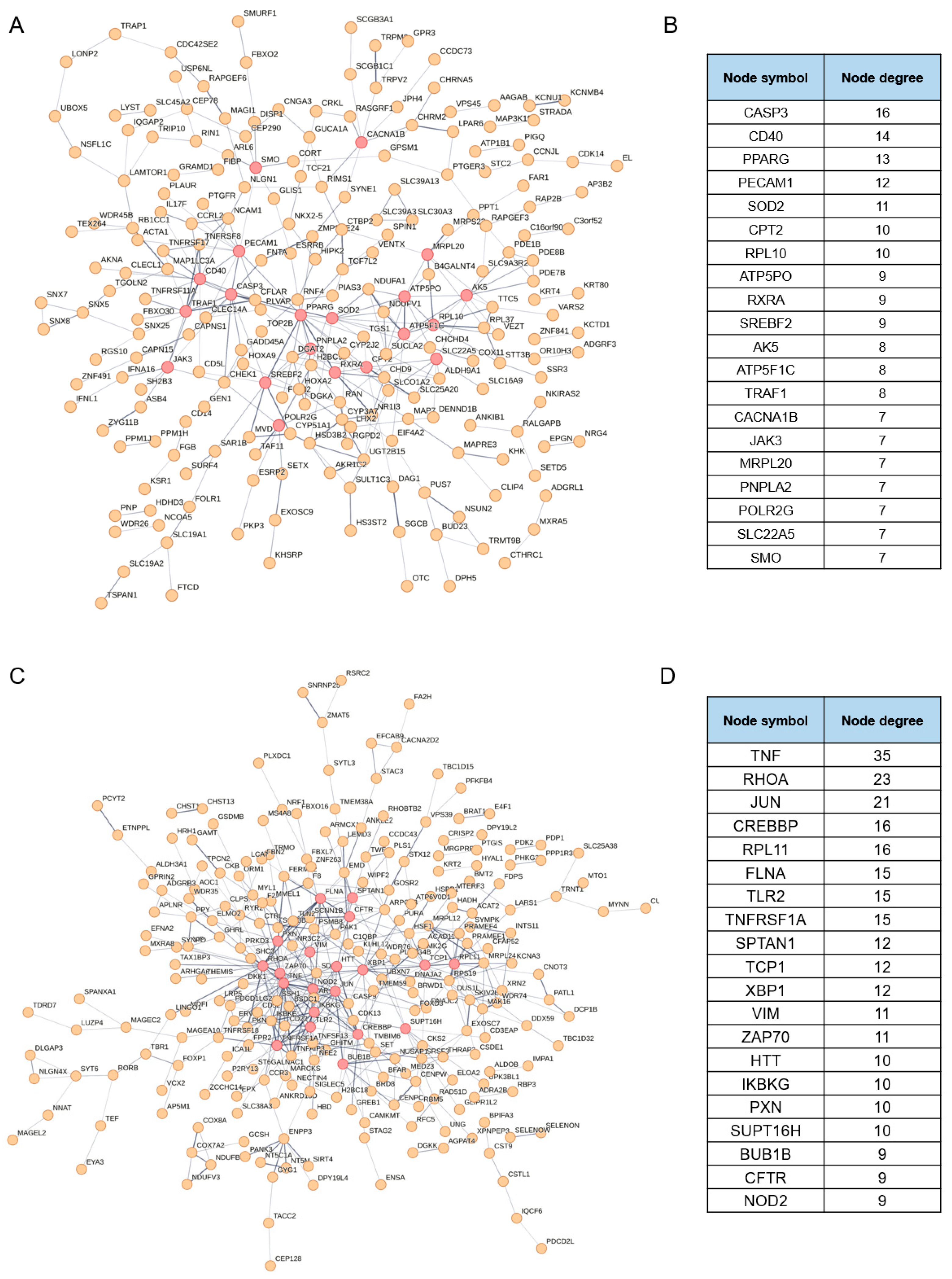 Viruses 17 01043 g003