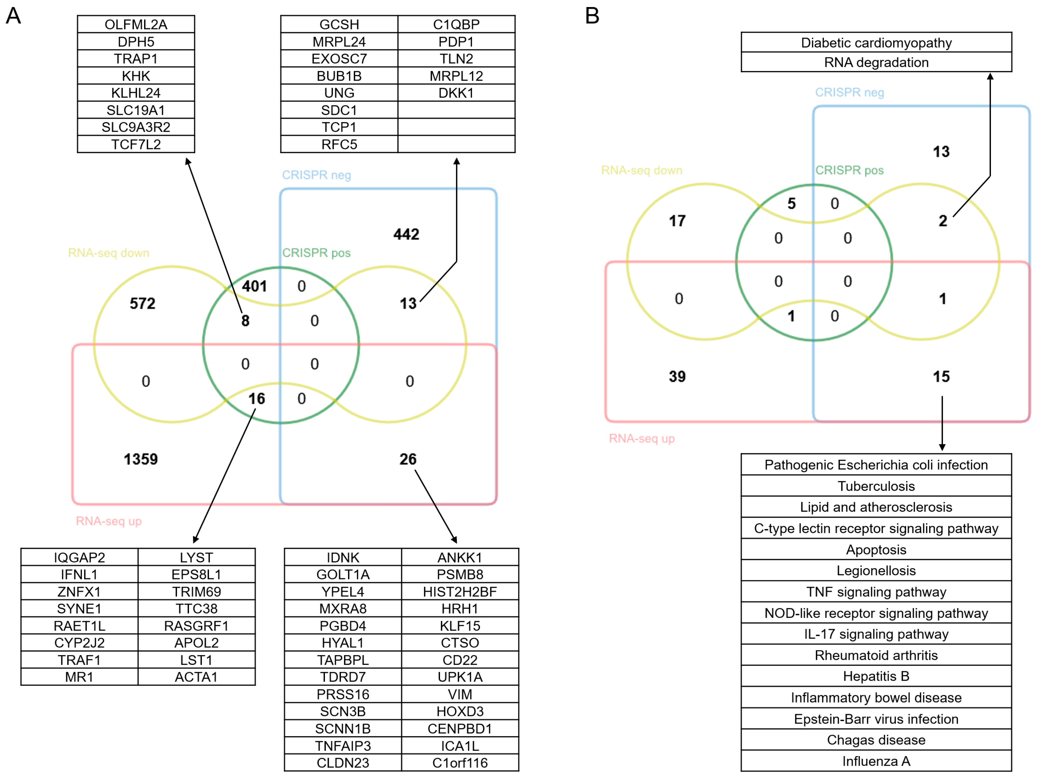 Viruses 17 01043 g006