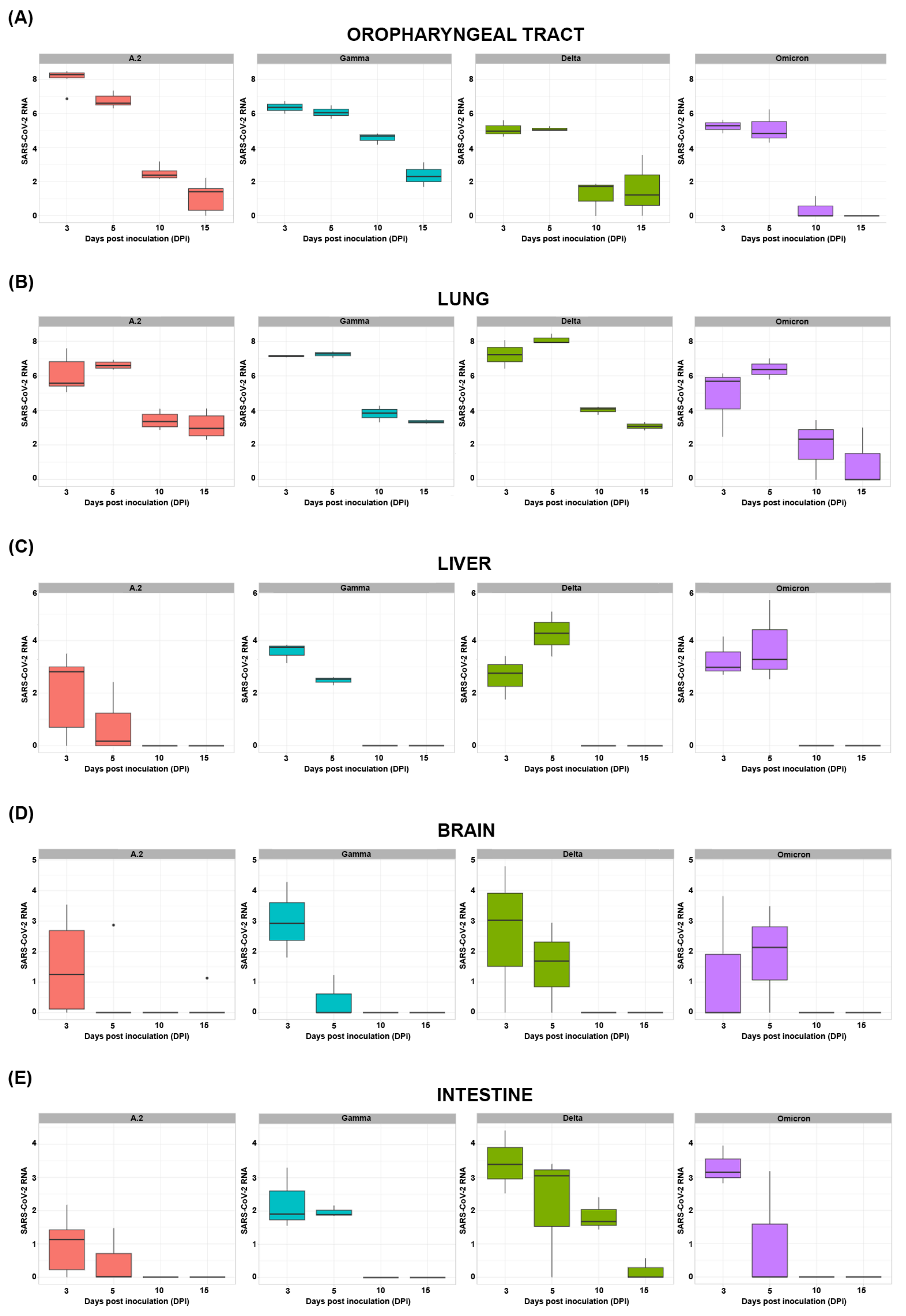 Viruses 17 01048 g002