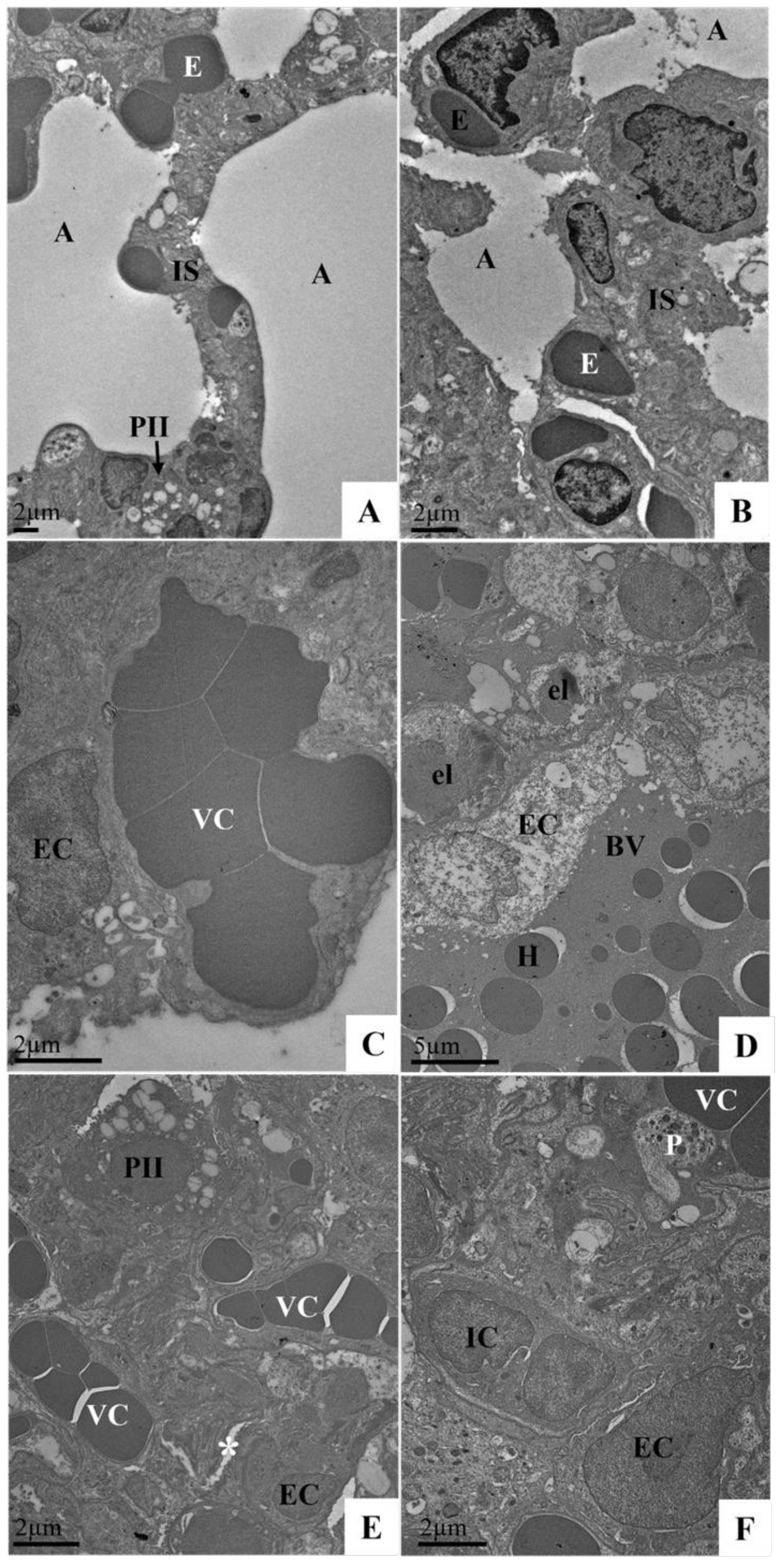 Viruses 17 01048 g007