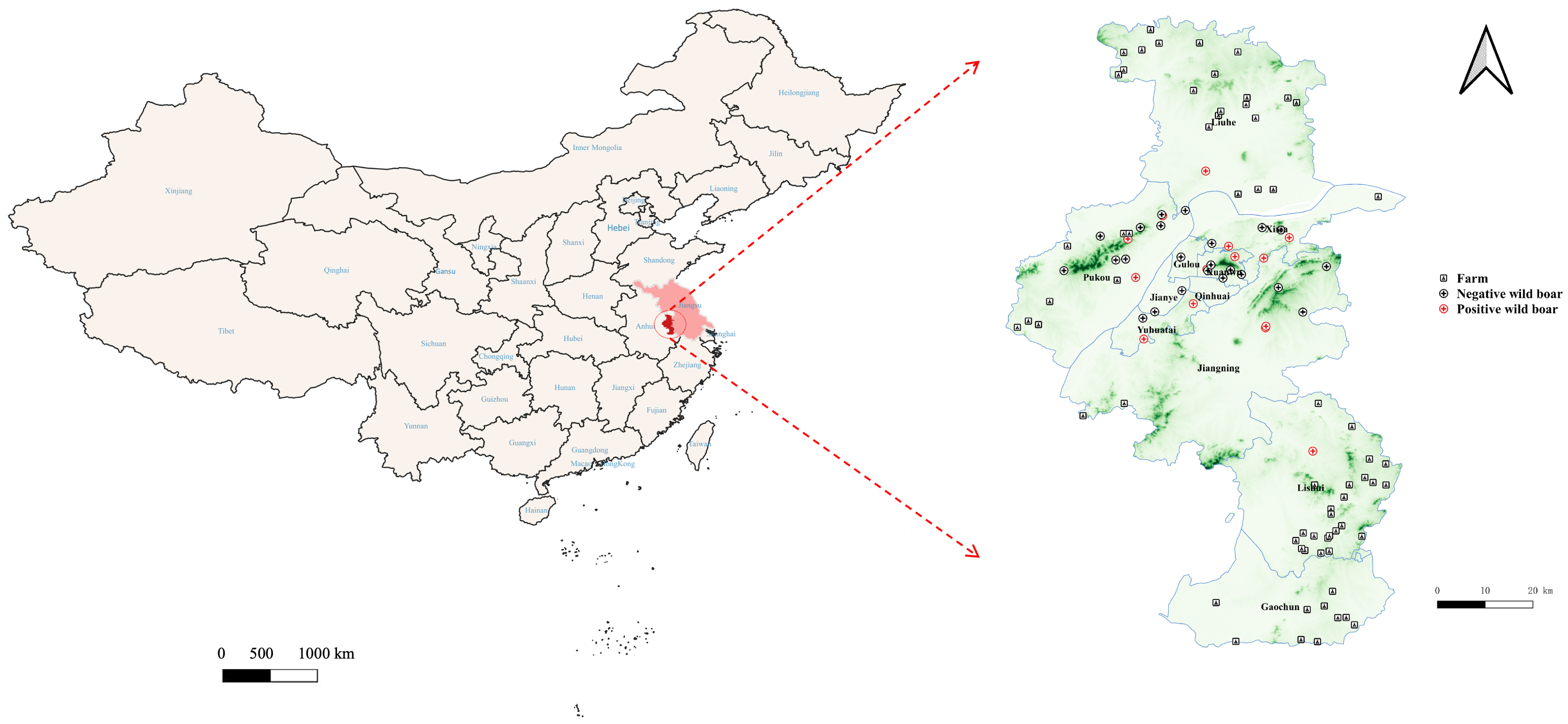 Viruses 17 01049 g001