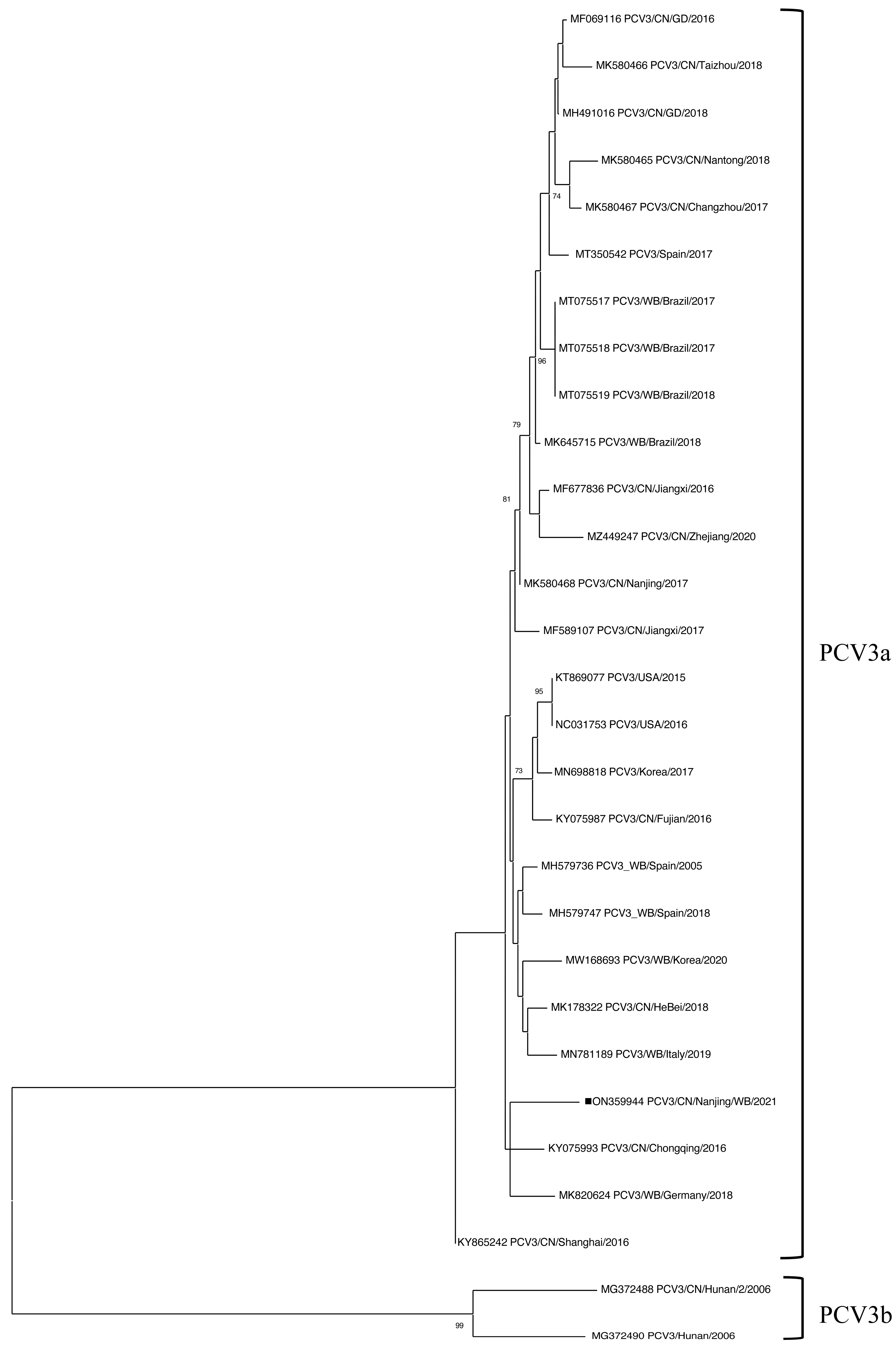 Viruses 17 01049 g002