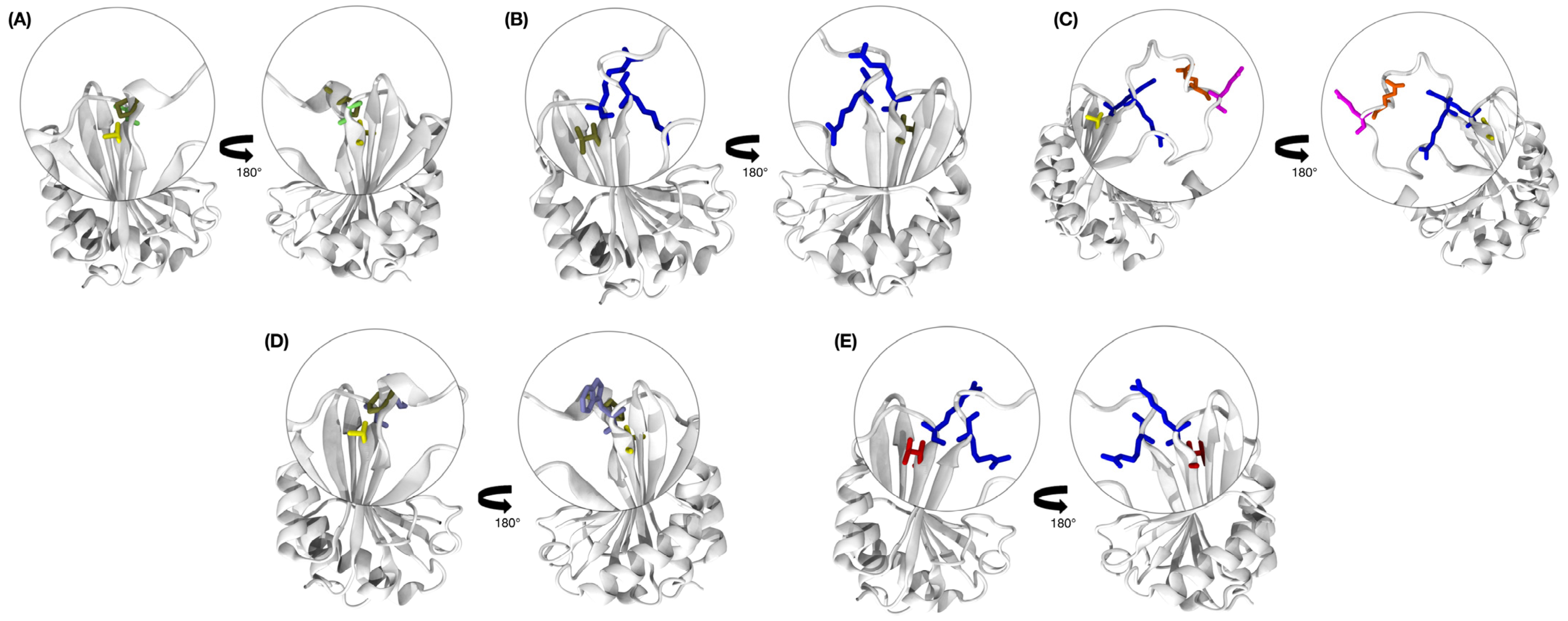 Viruses 17 01050 g010