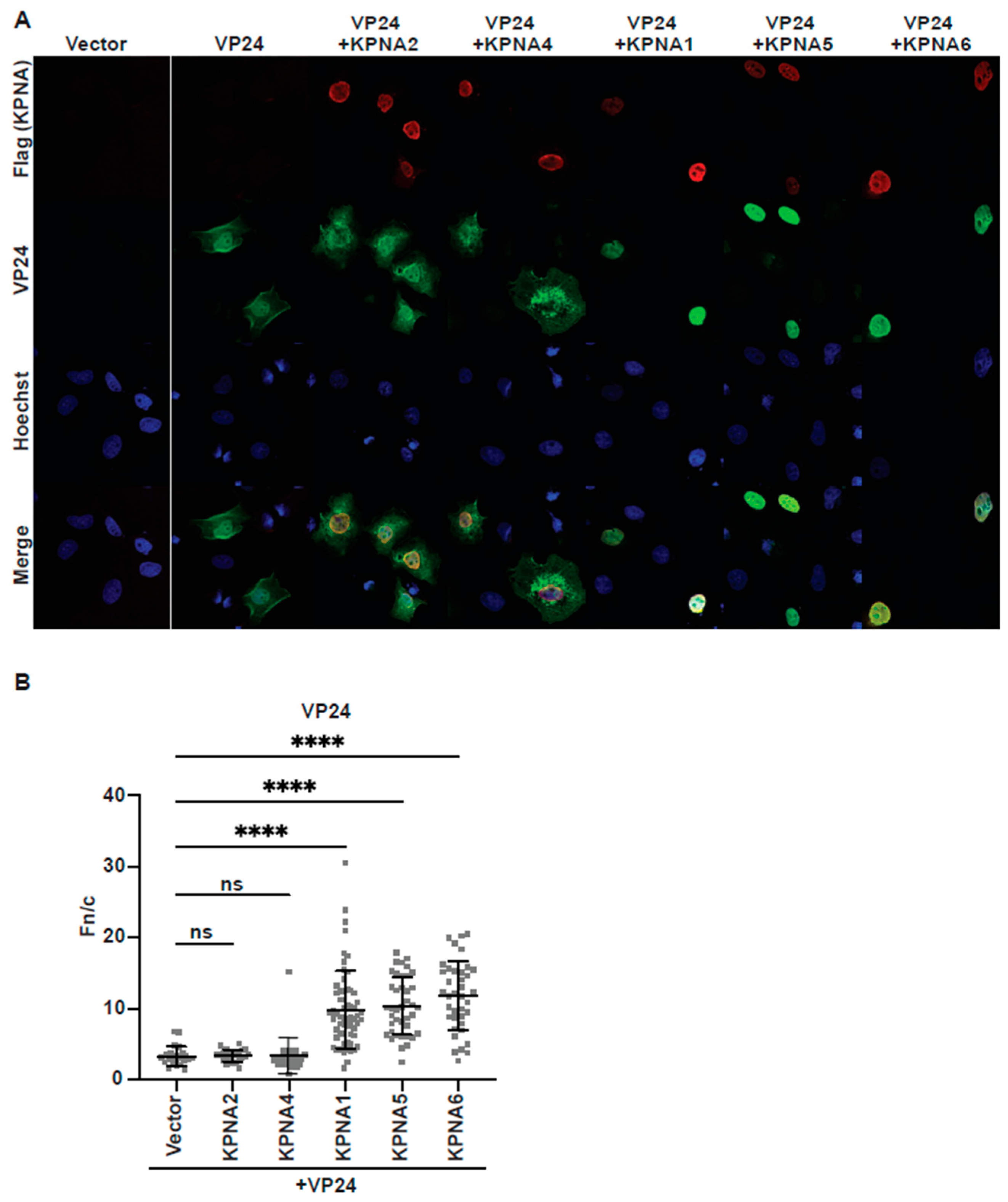 Viruses 17 01051 g002