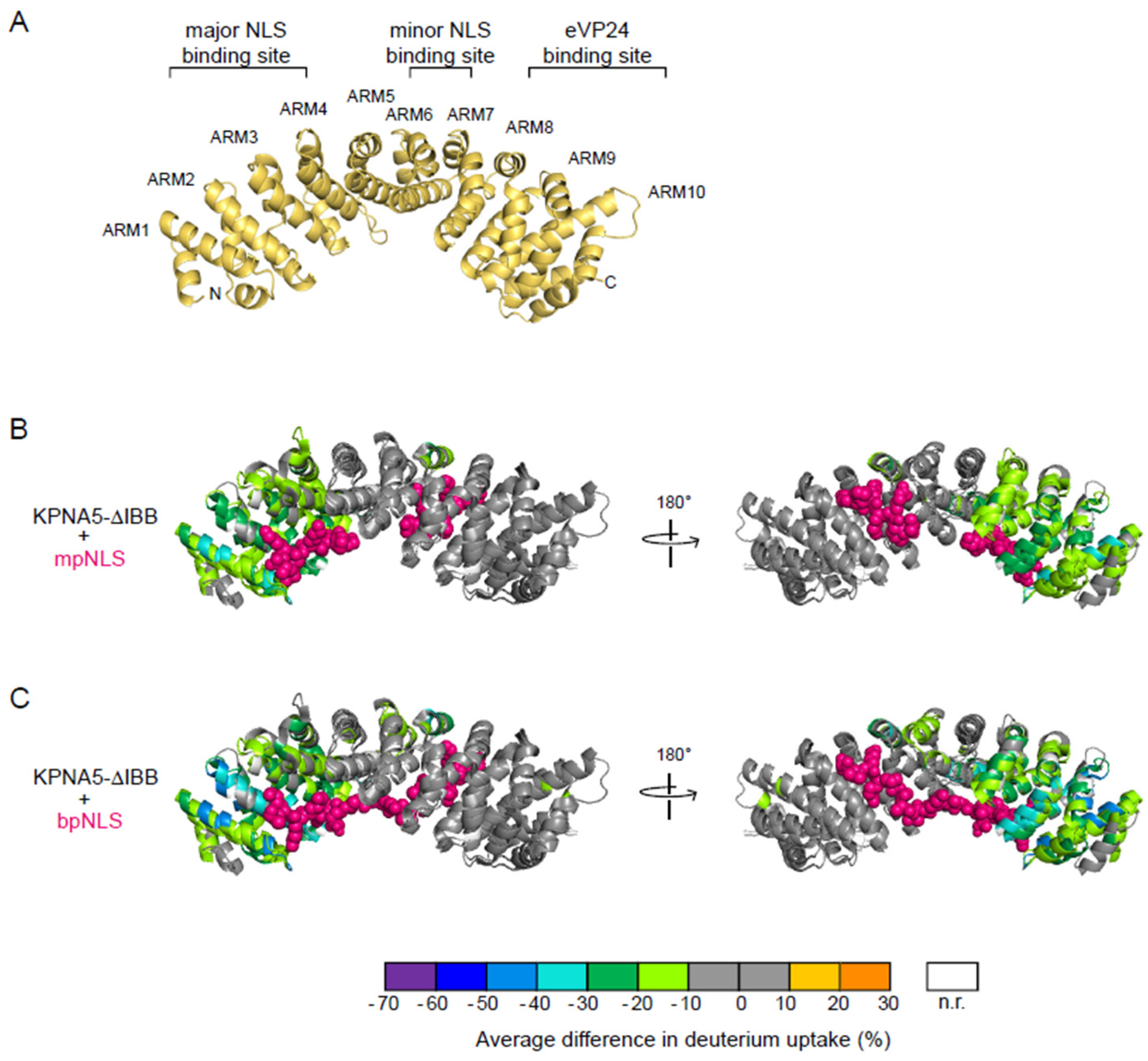 Viruses 17 01051 g003