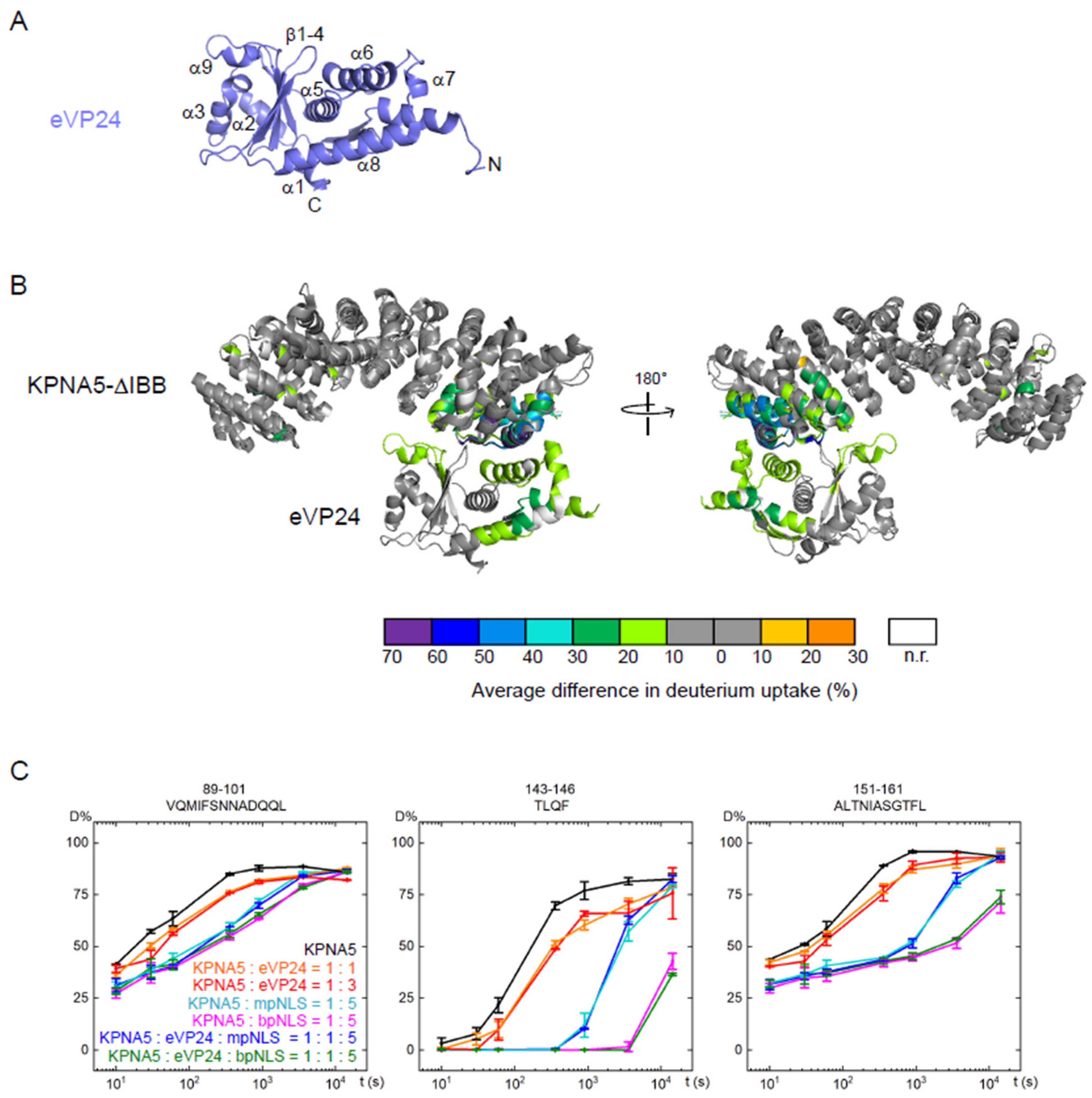 Viruses 17 01051 g004