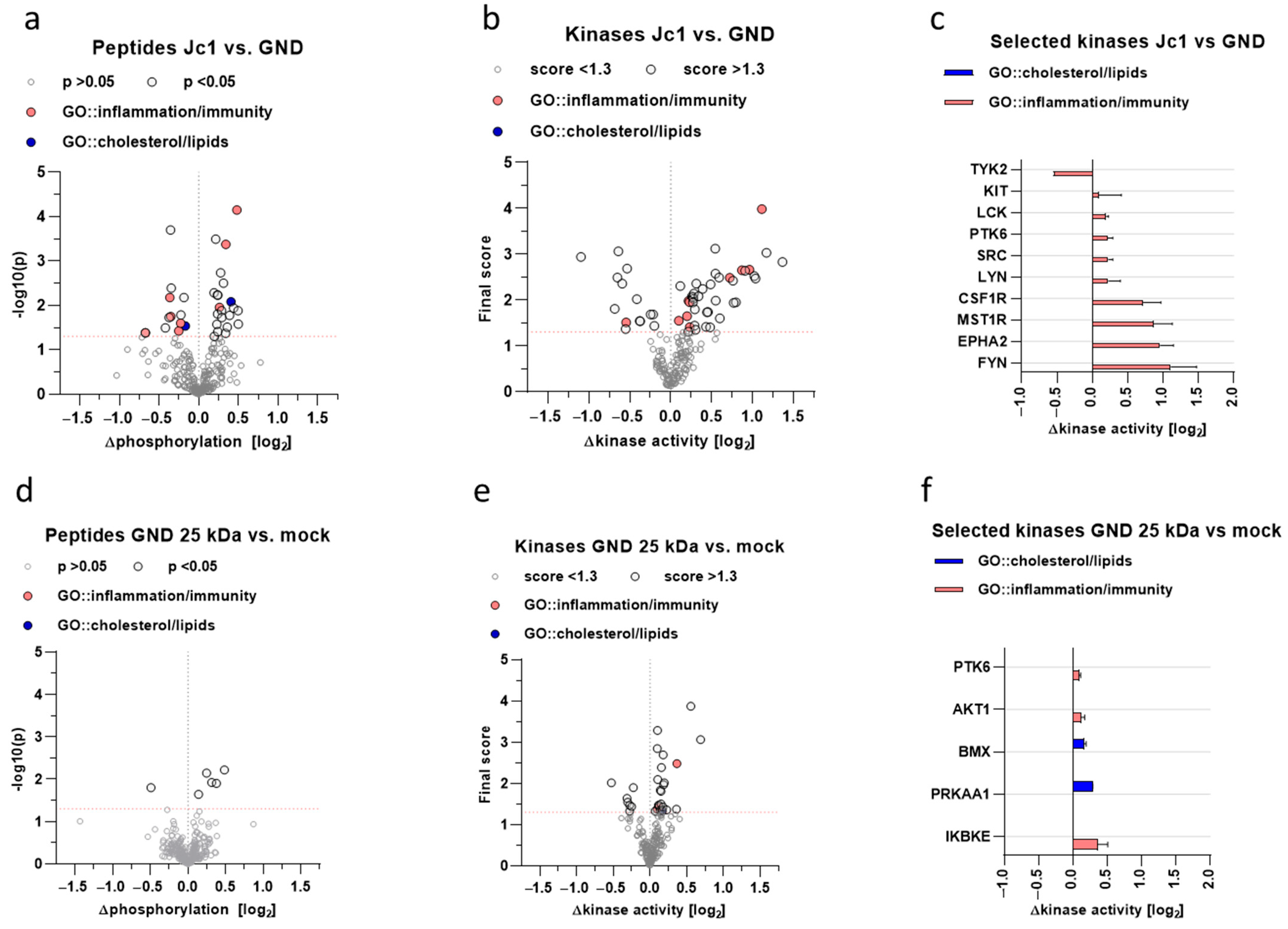 Viruses 17 01052 g008