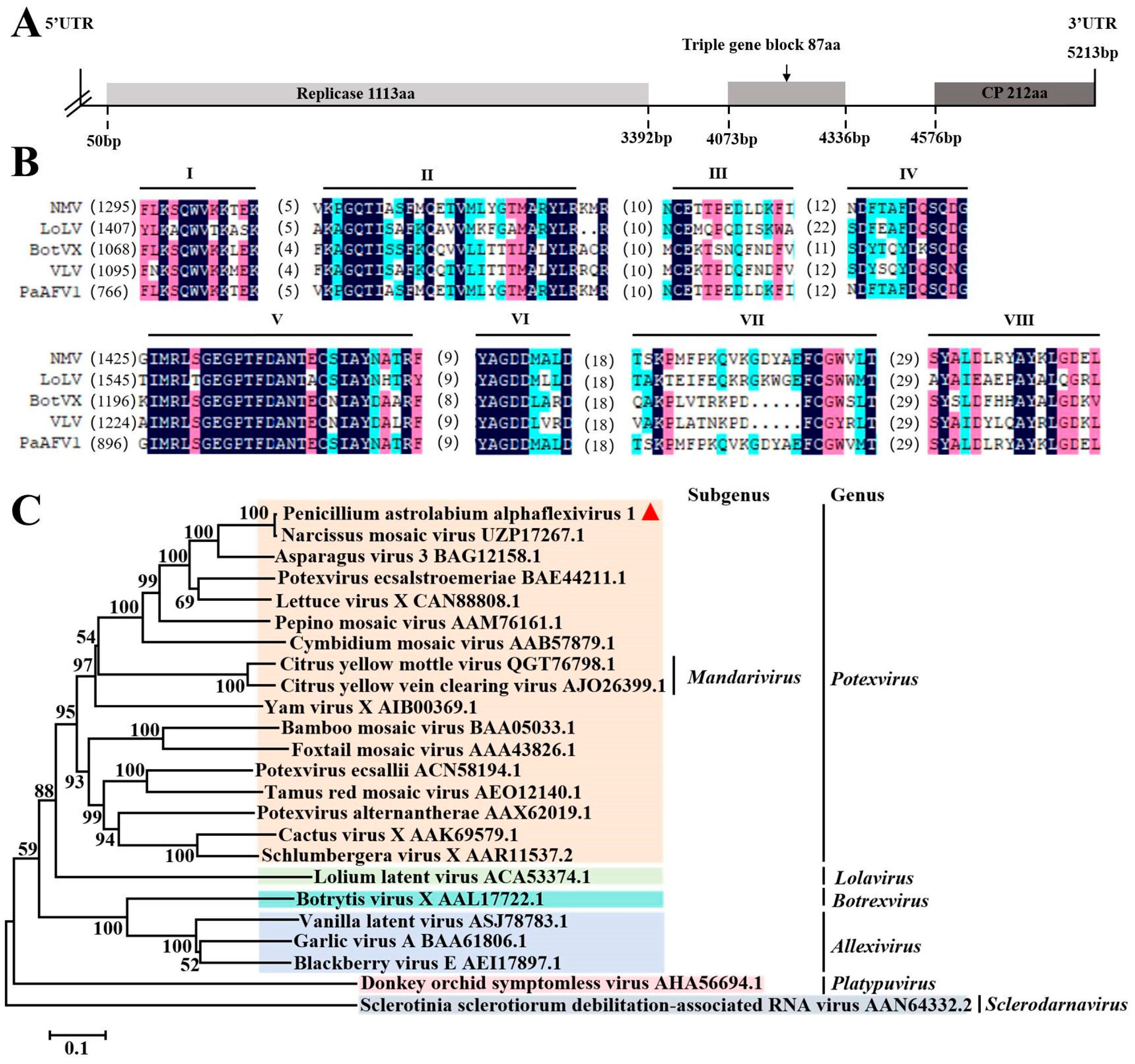 Viruses 17 01053 g004 Viruses 17 01053 g004