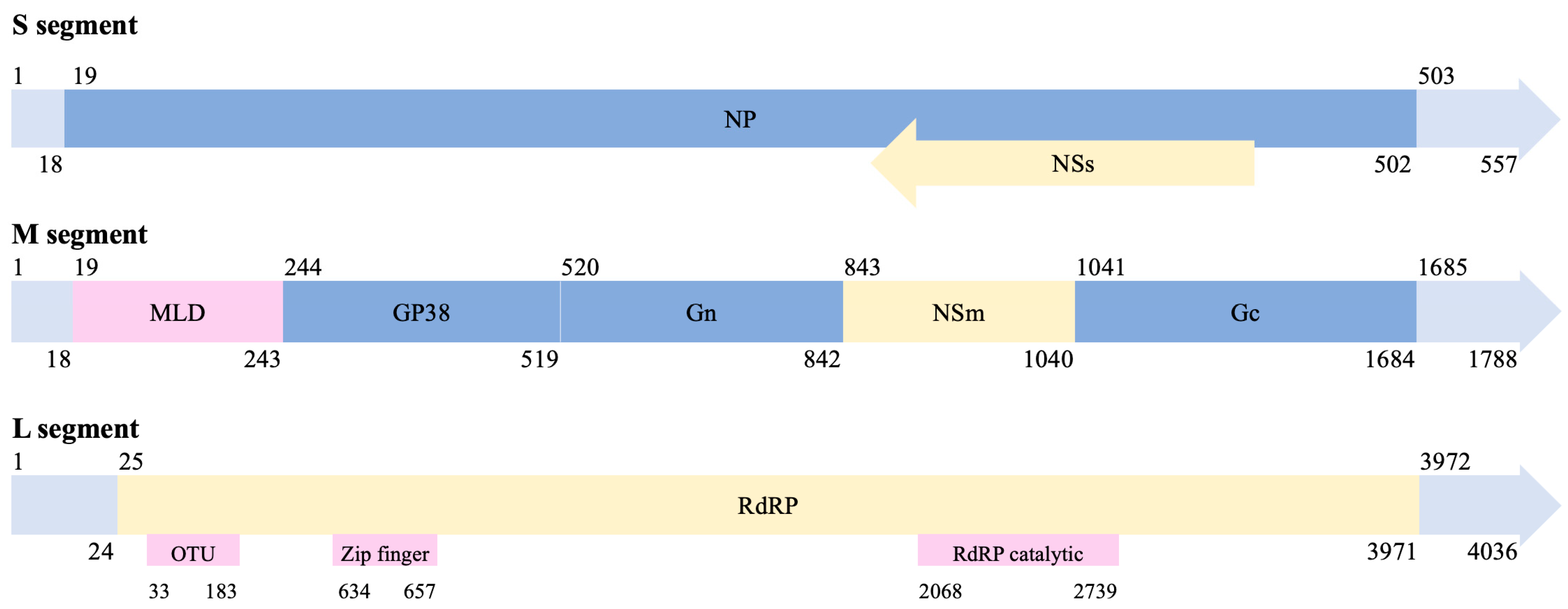 Viruses 17 01054 g002 Viruses 17 01054 g002
