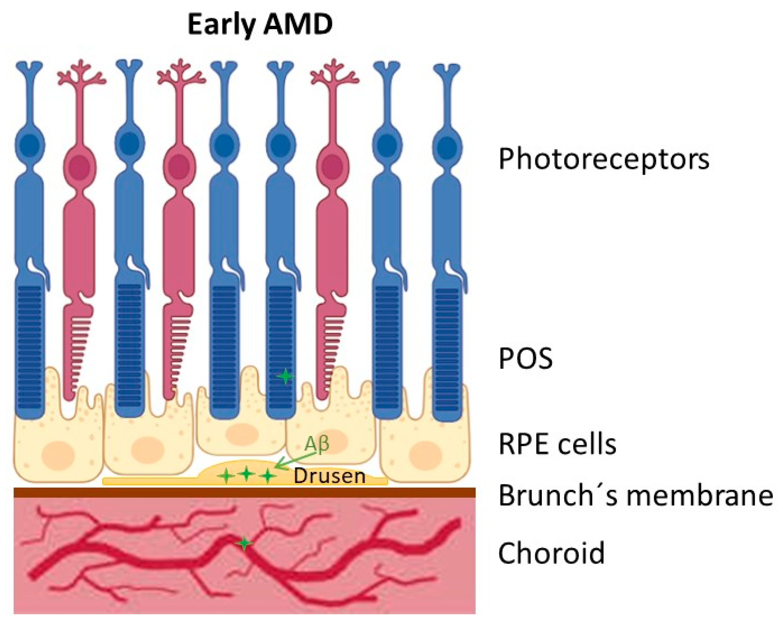 Viruses 17 01056 g001