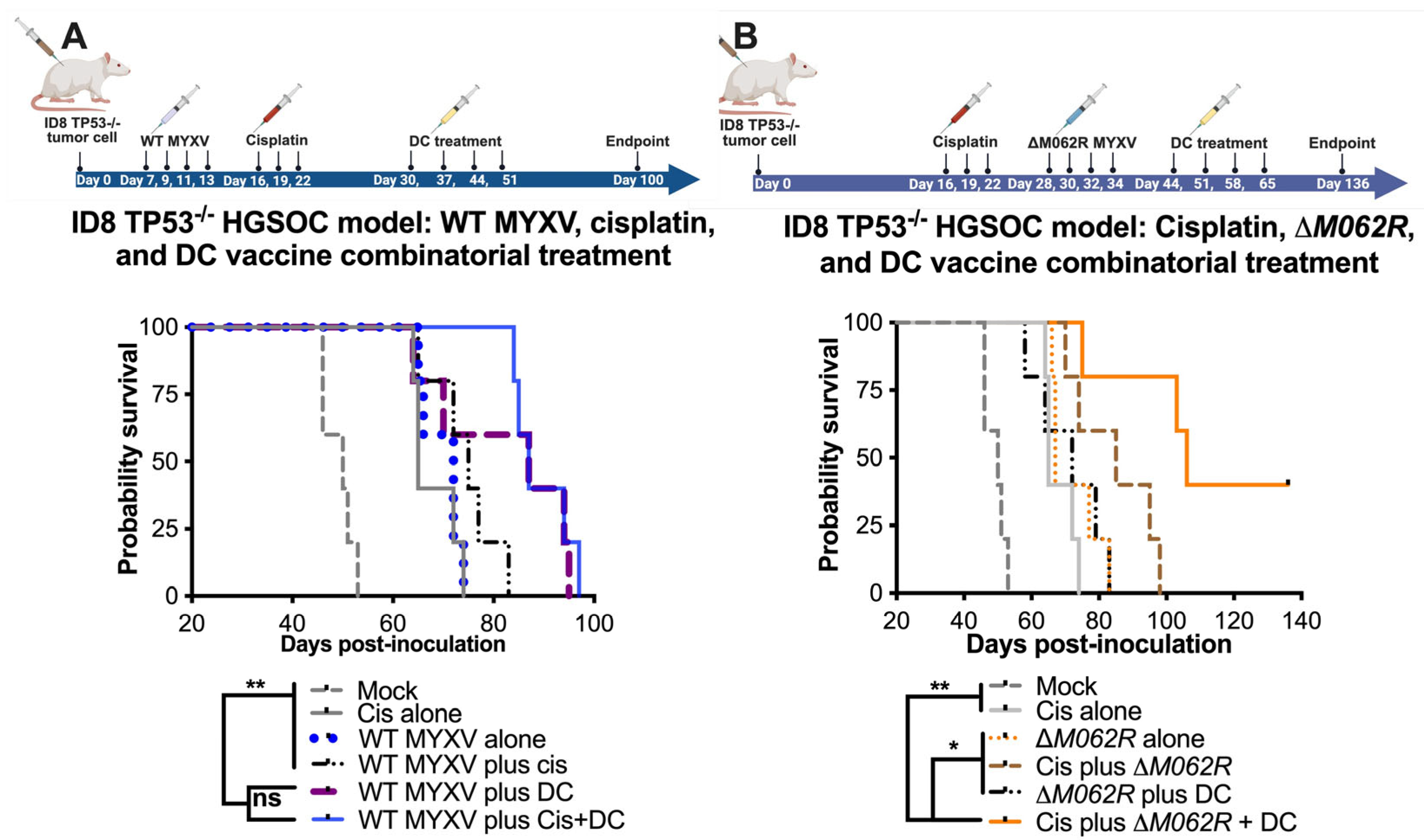 Viruses 17 01058 g003