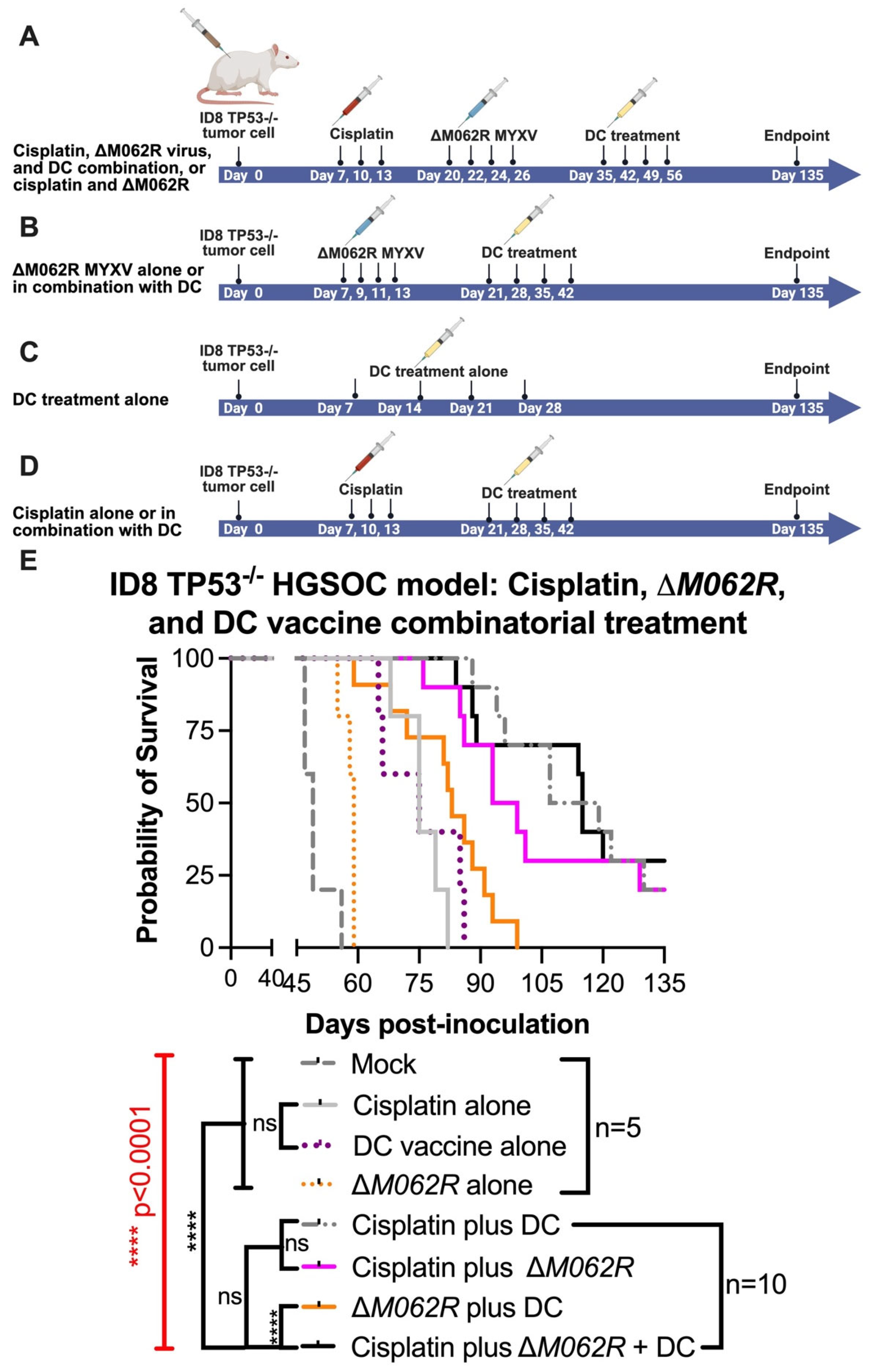 Viruses 17 01058 g004