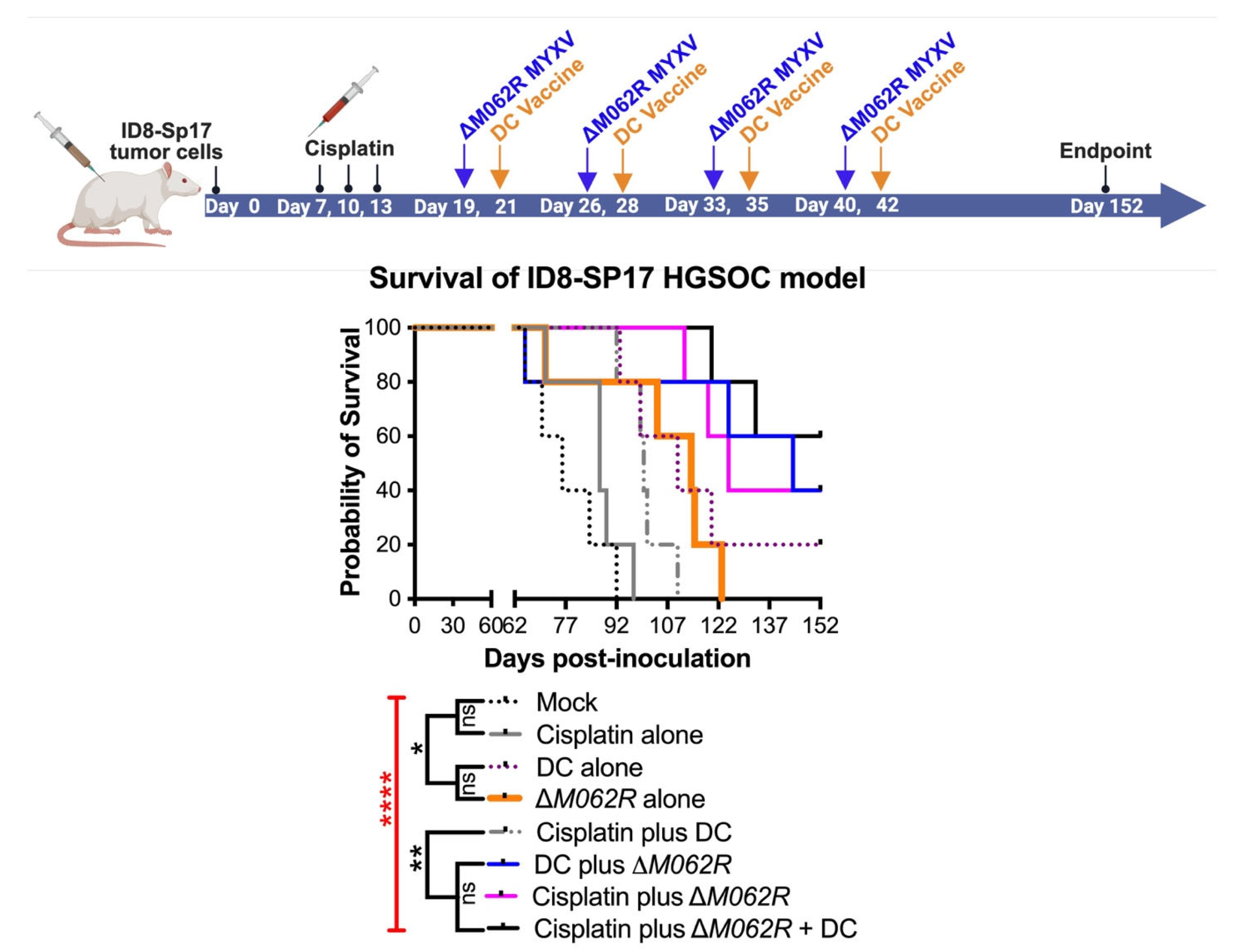 Viruses 17 01058 g005