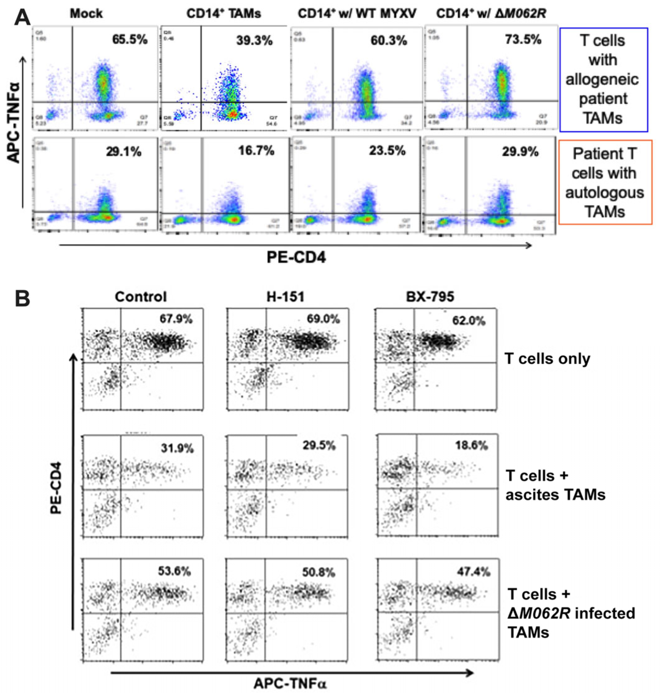 Viruses 17 01058 g006