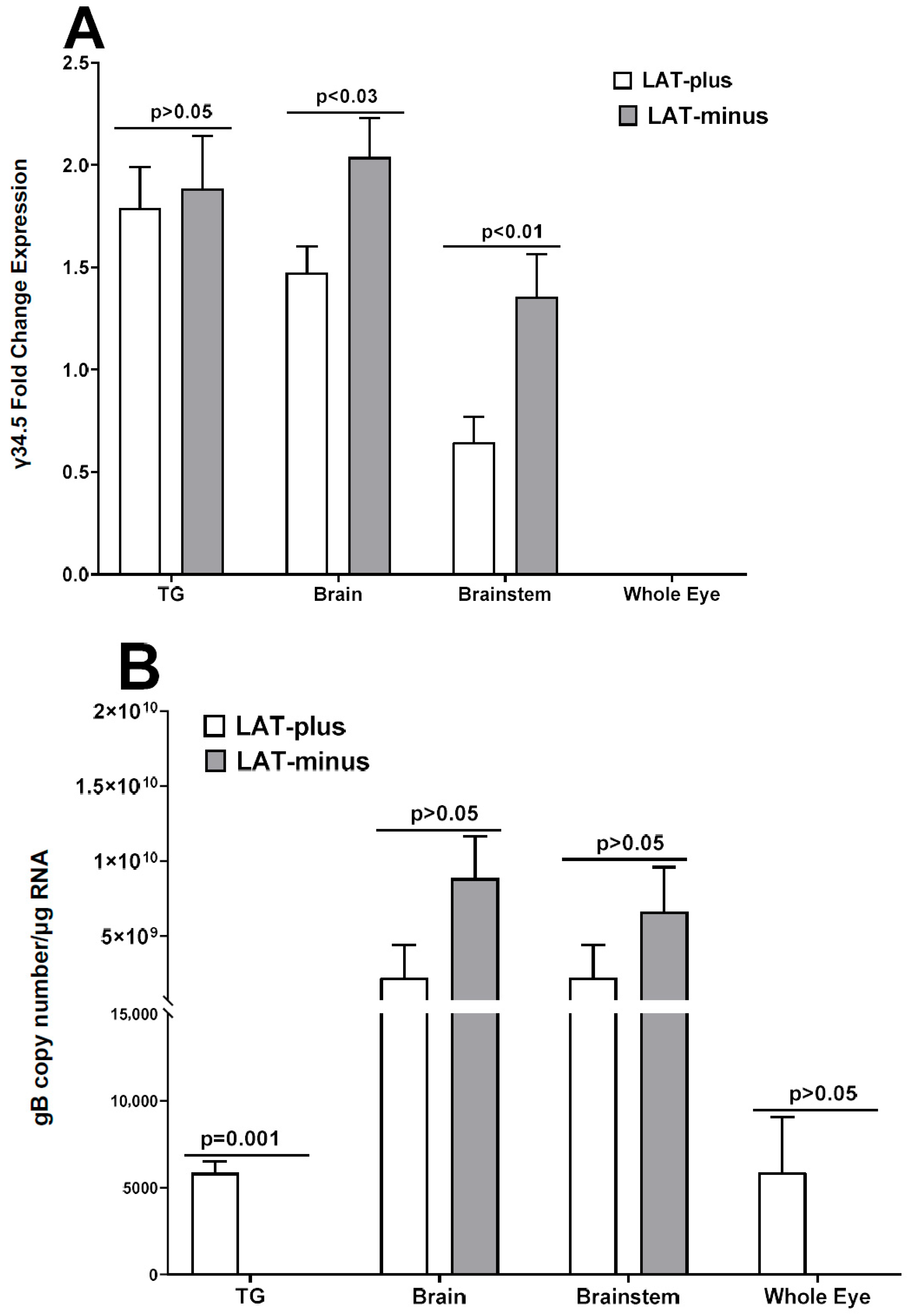 Viruses 17 01061 g005