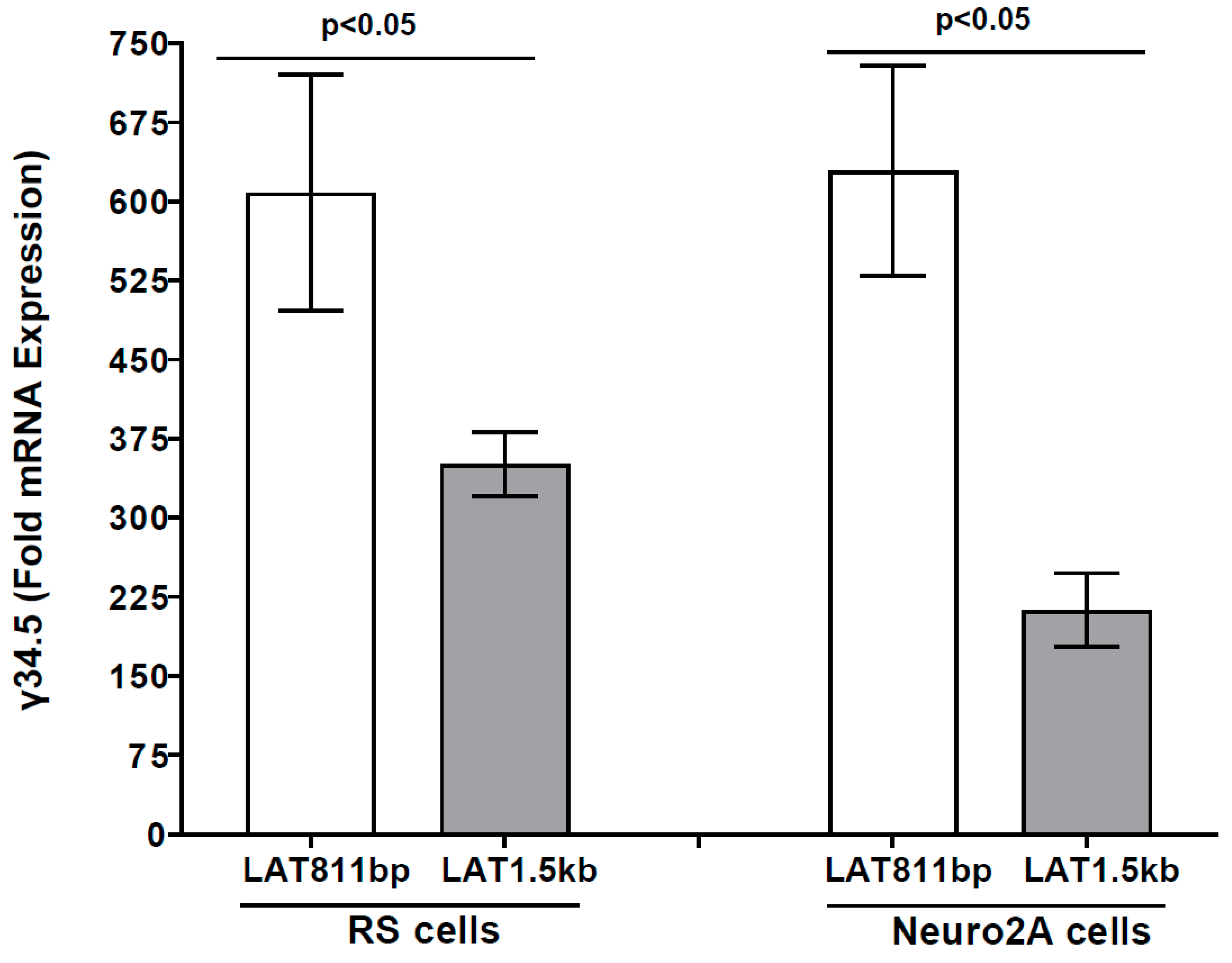Viruses 17 01061 g006