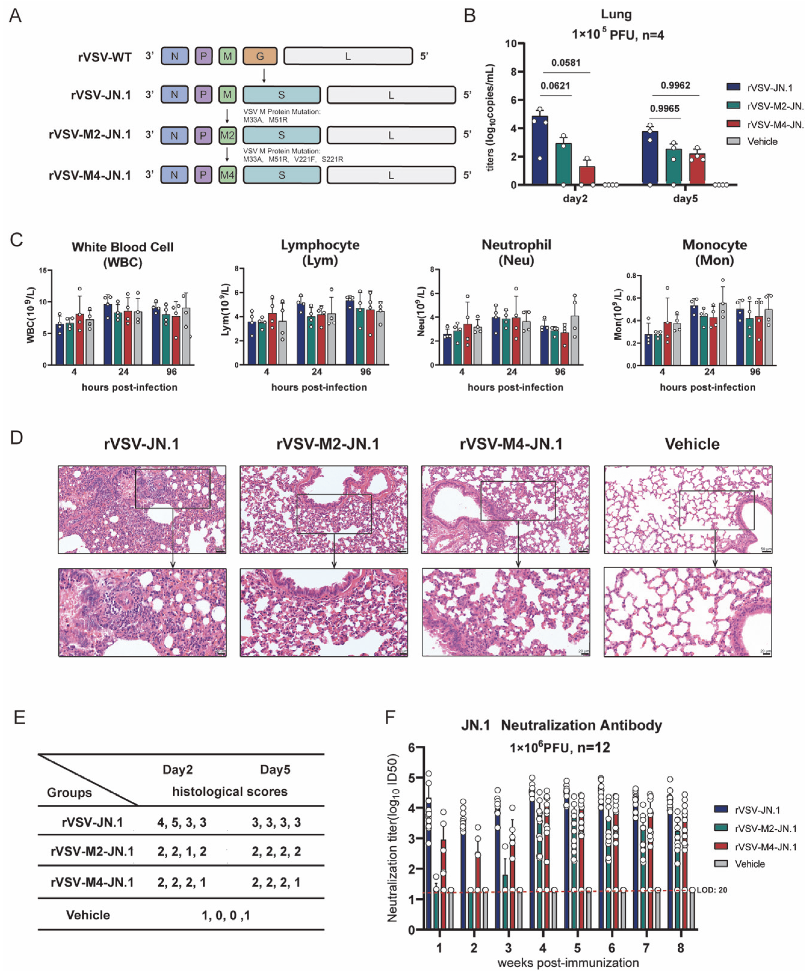 Viruses 17 01062 g006