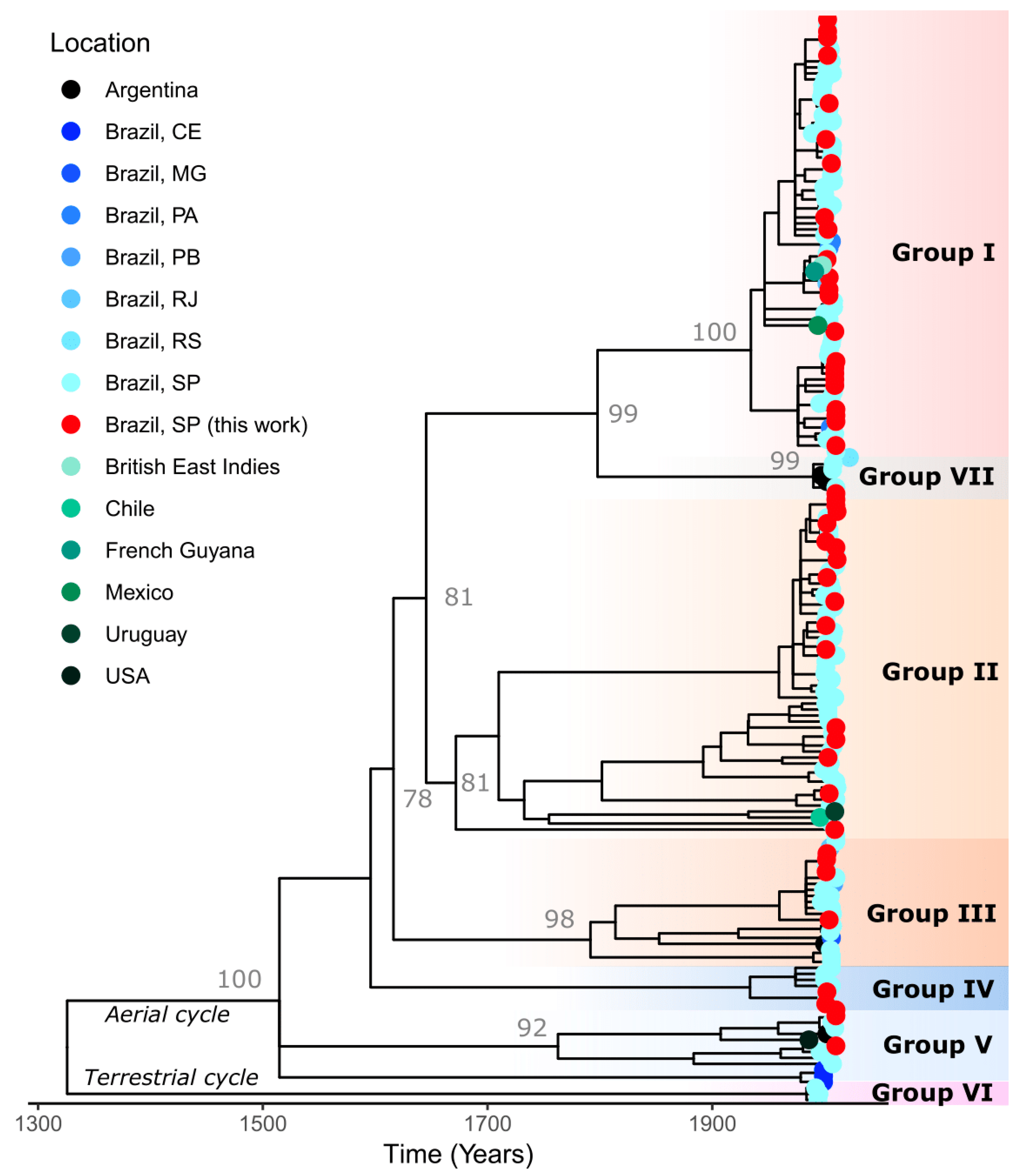 Viruses 17 01063 g002 Viruses 17 01063 g002