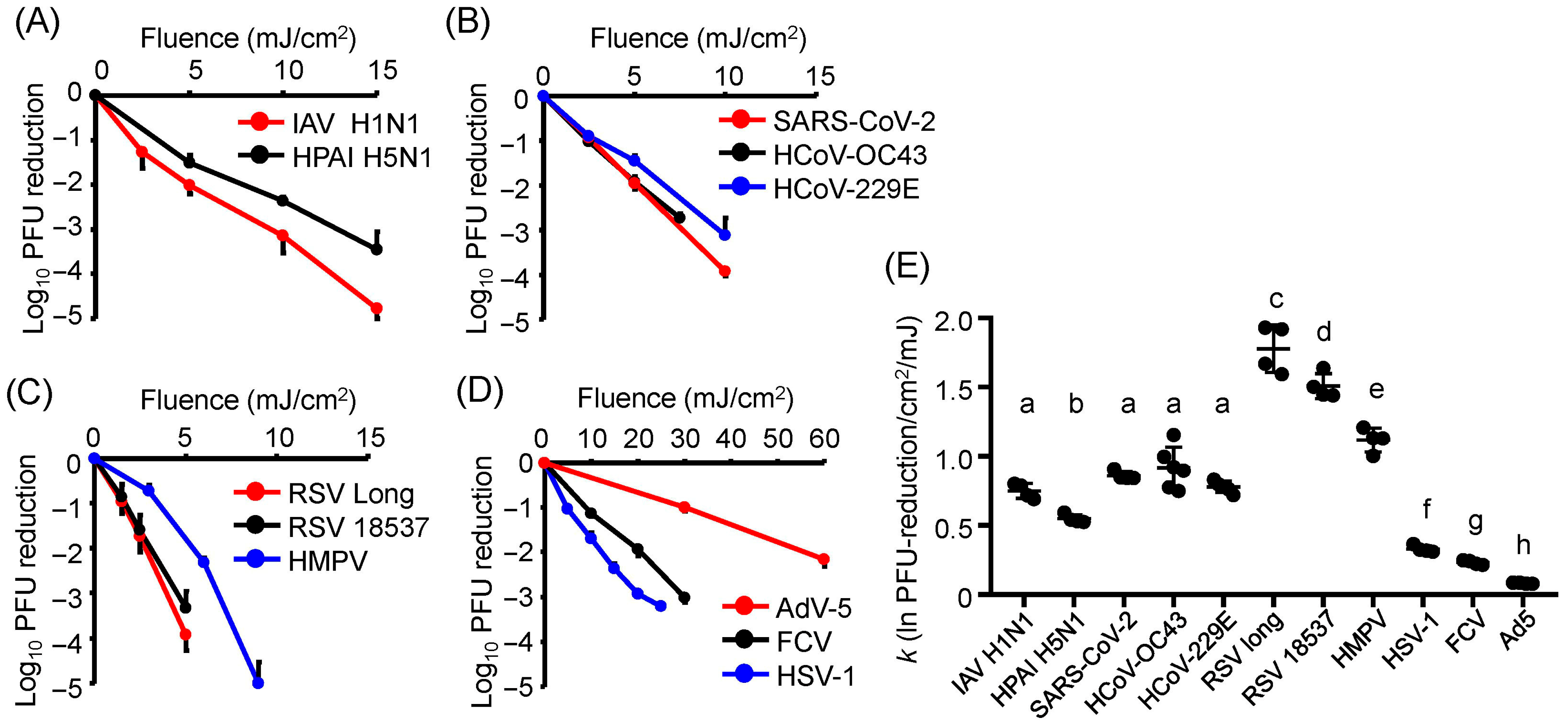 Viruses 17 01065 g001