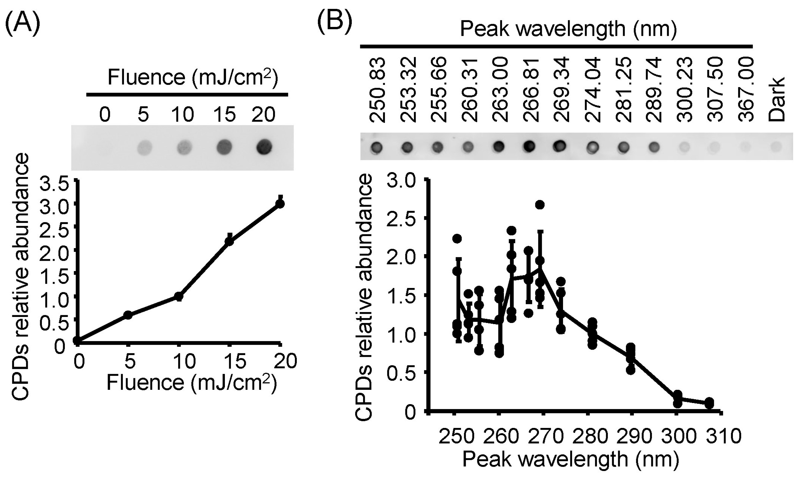 Viruses 17 01065 g005