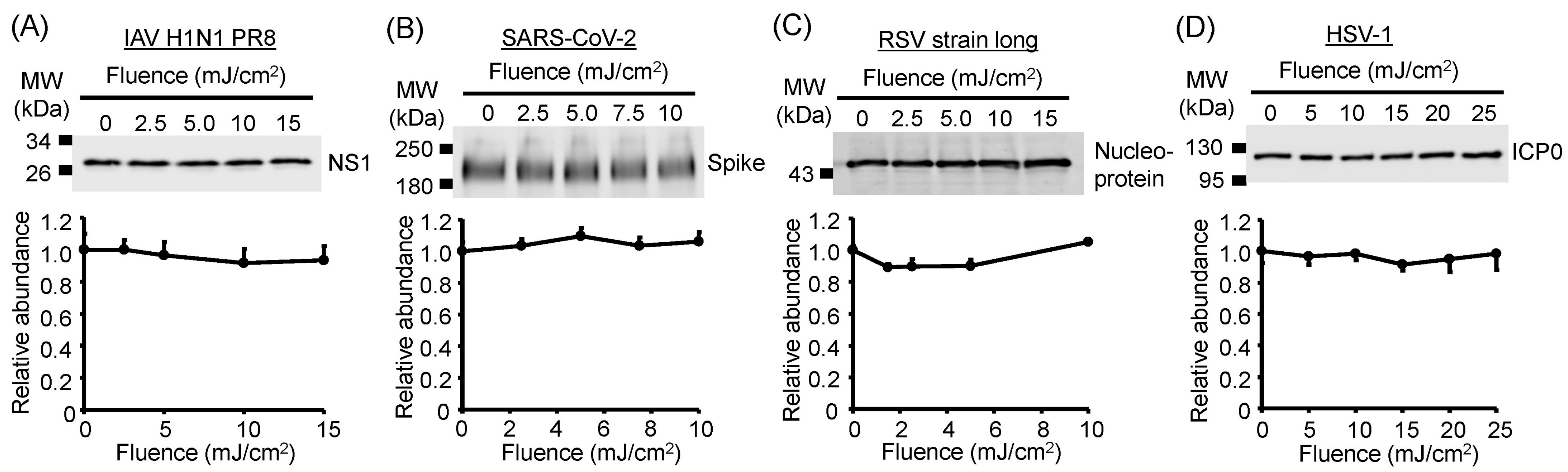 Viruses 17 01065 g006