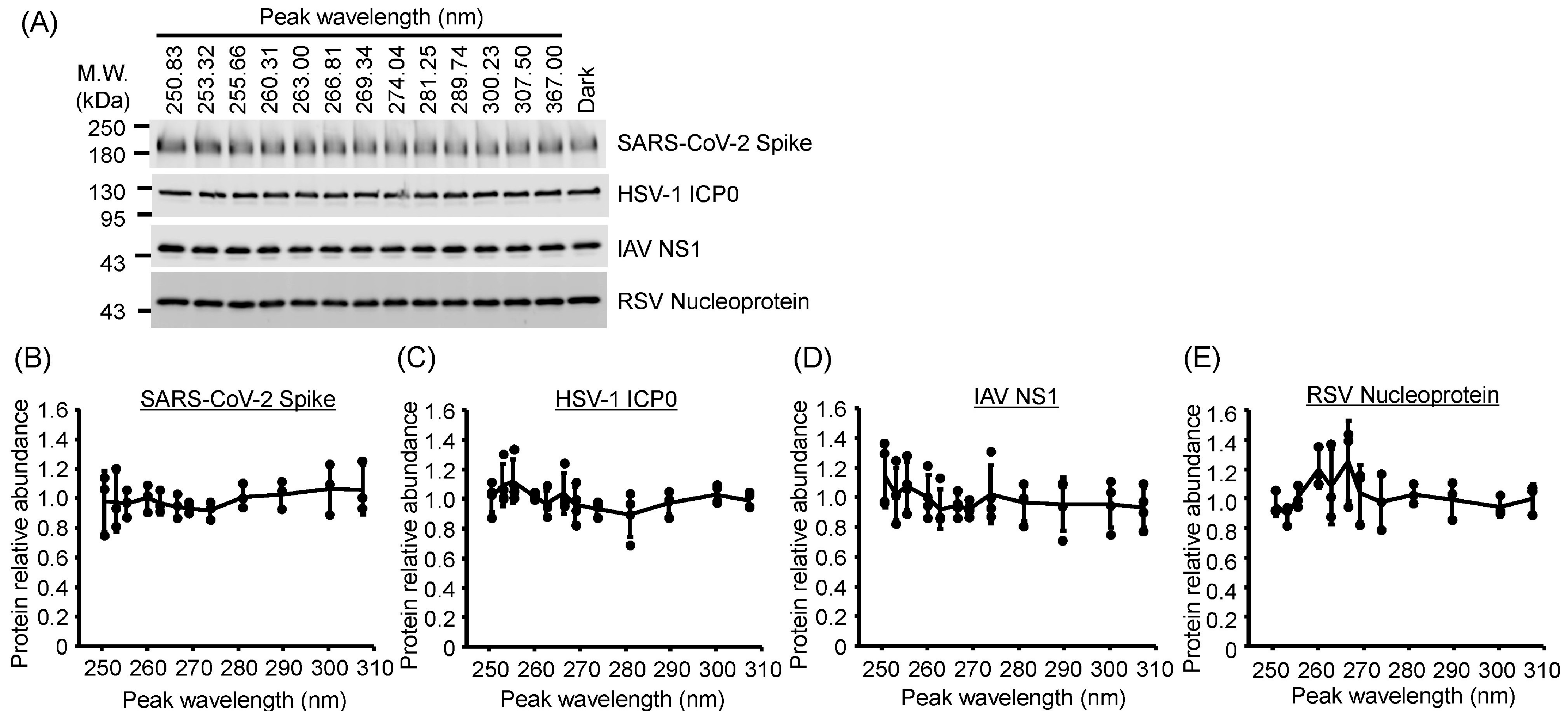 Viruses 17 01065 g007