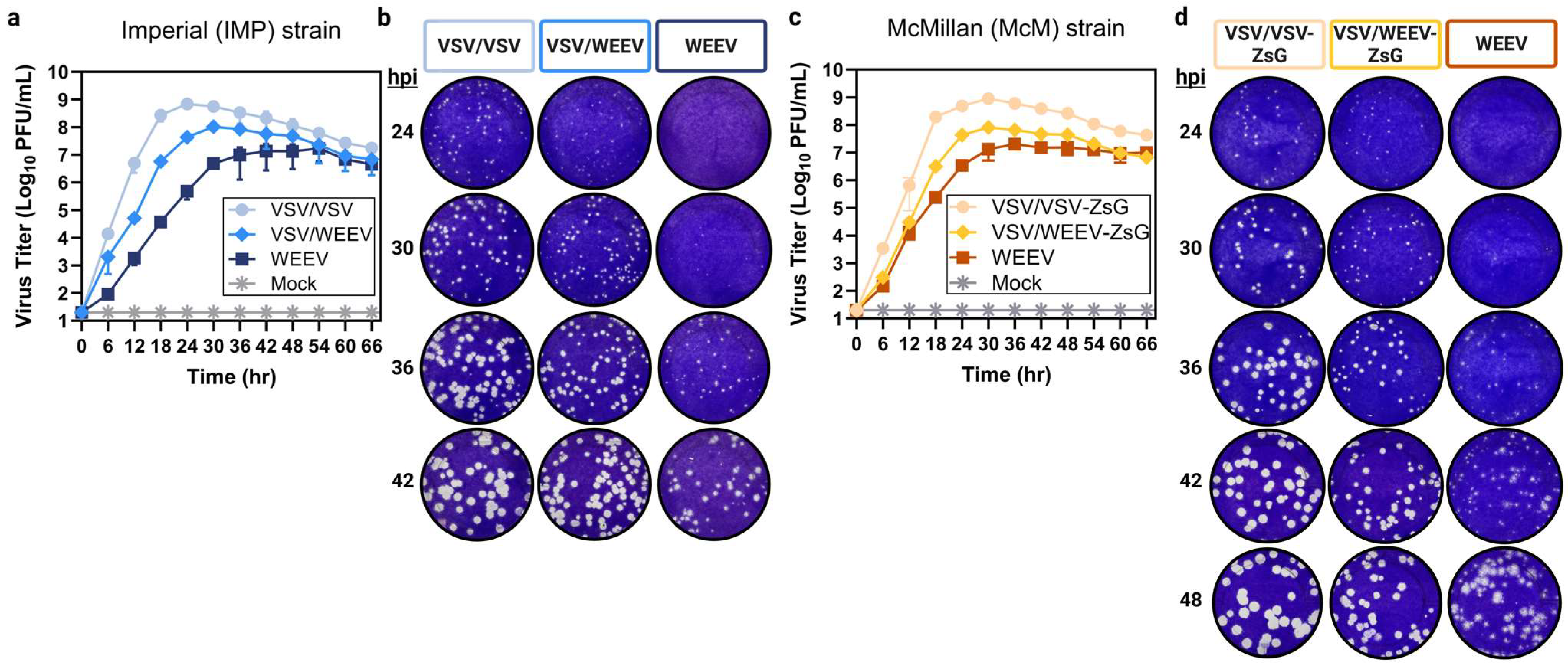 Viruses 17 01067 g002 Viruses 17 01067 g002