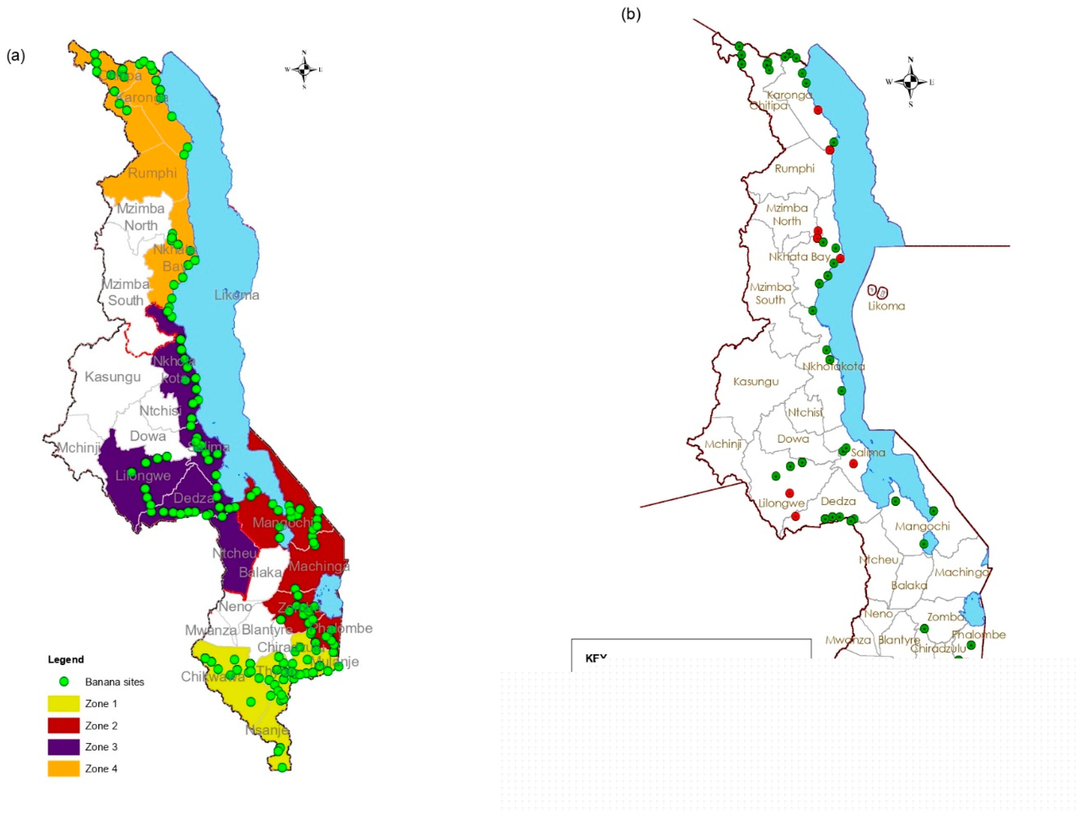 Viruses 17 01068 g001