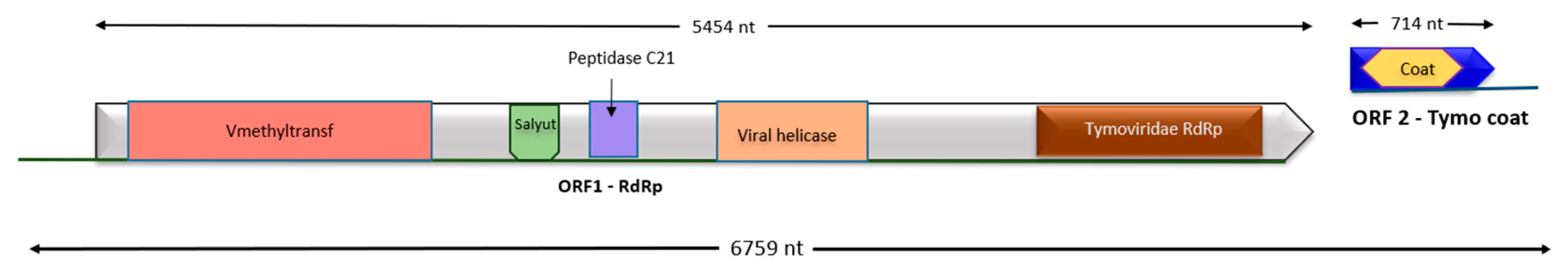Viruses 17 01068 g003