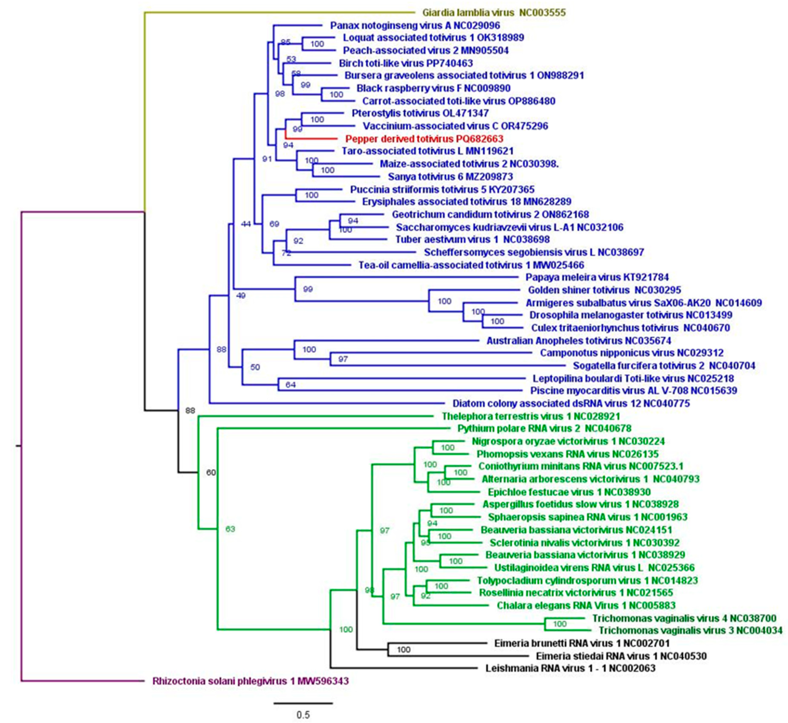 Viruses 17 01068 g006