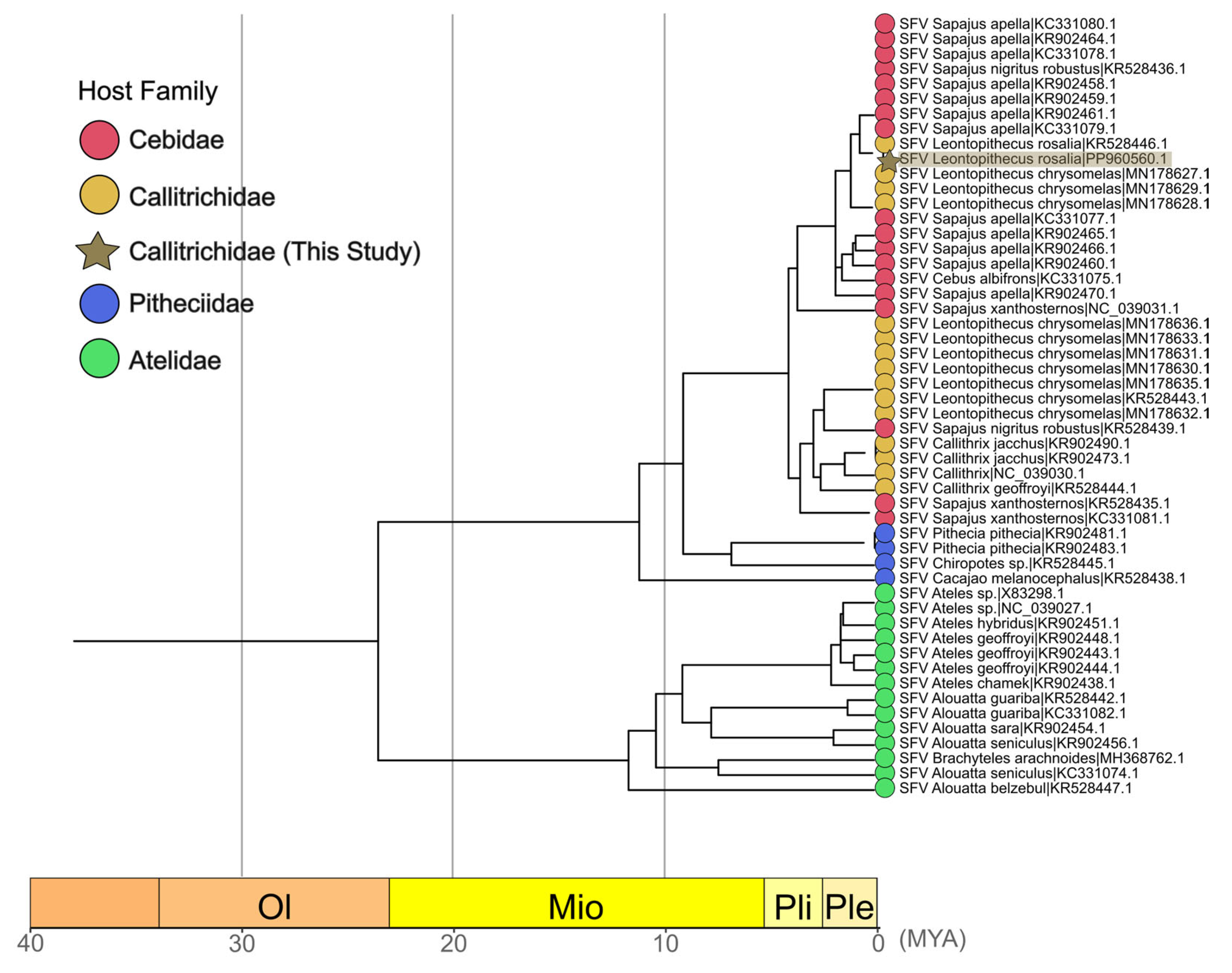 Viruses 17 01072 g005