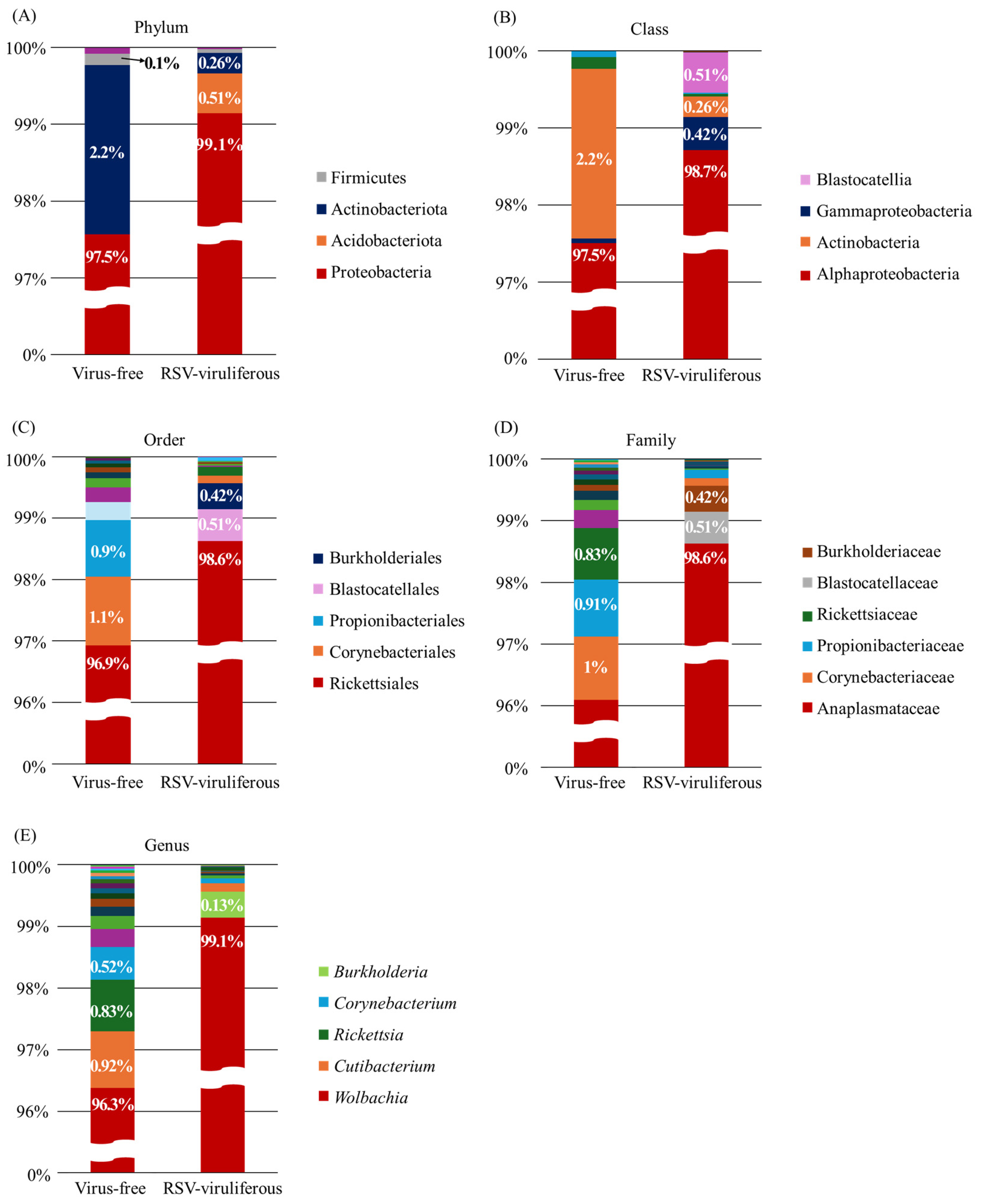 Viruses 17 01074 g002 Viruses 17 01074 g002