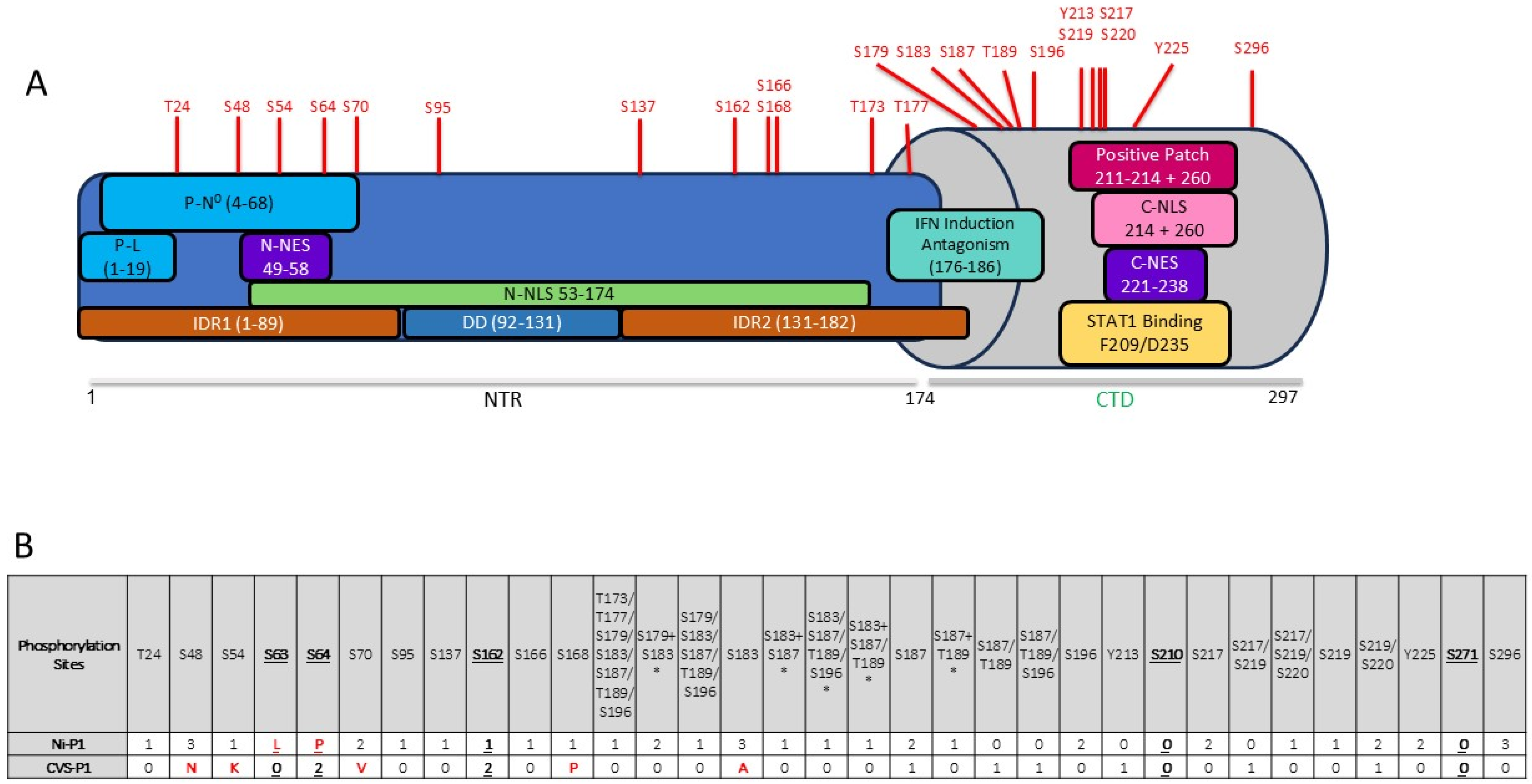 Viruses 17 01075 g001 Viruses 17 01075 g001