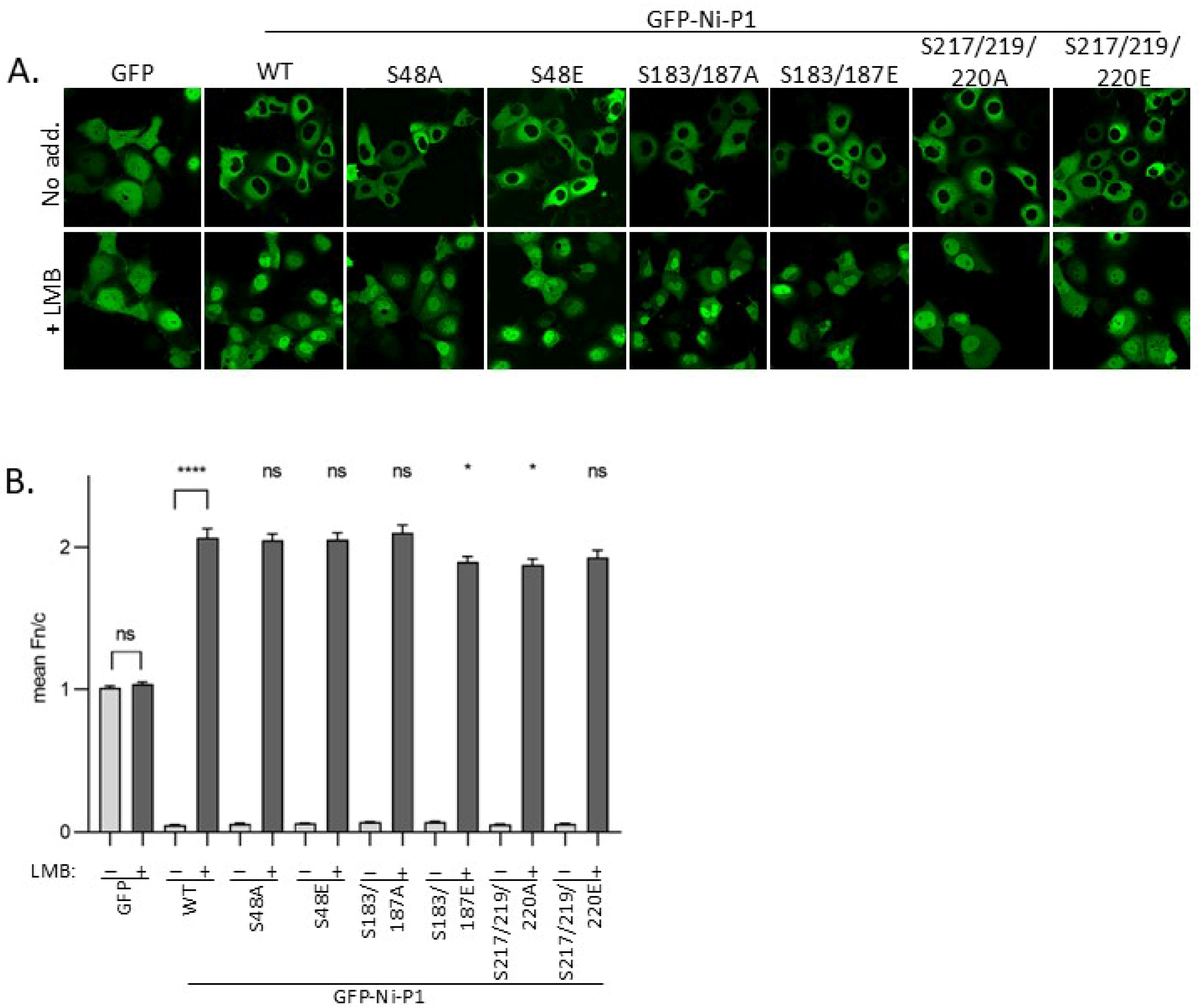 Viruses 17 01075 g003 Viruses 17 01075 g003