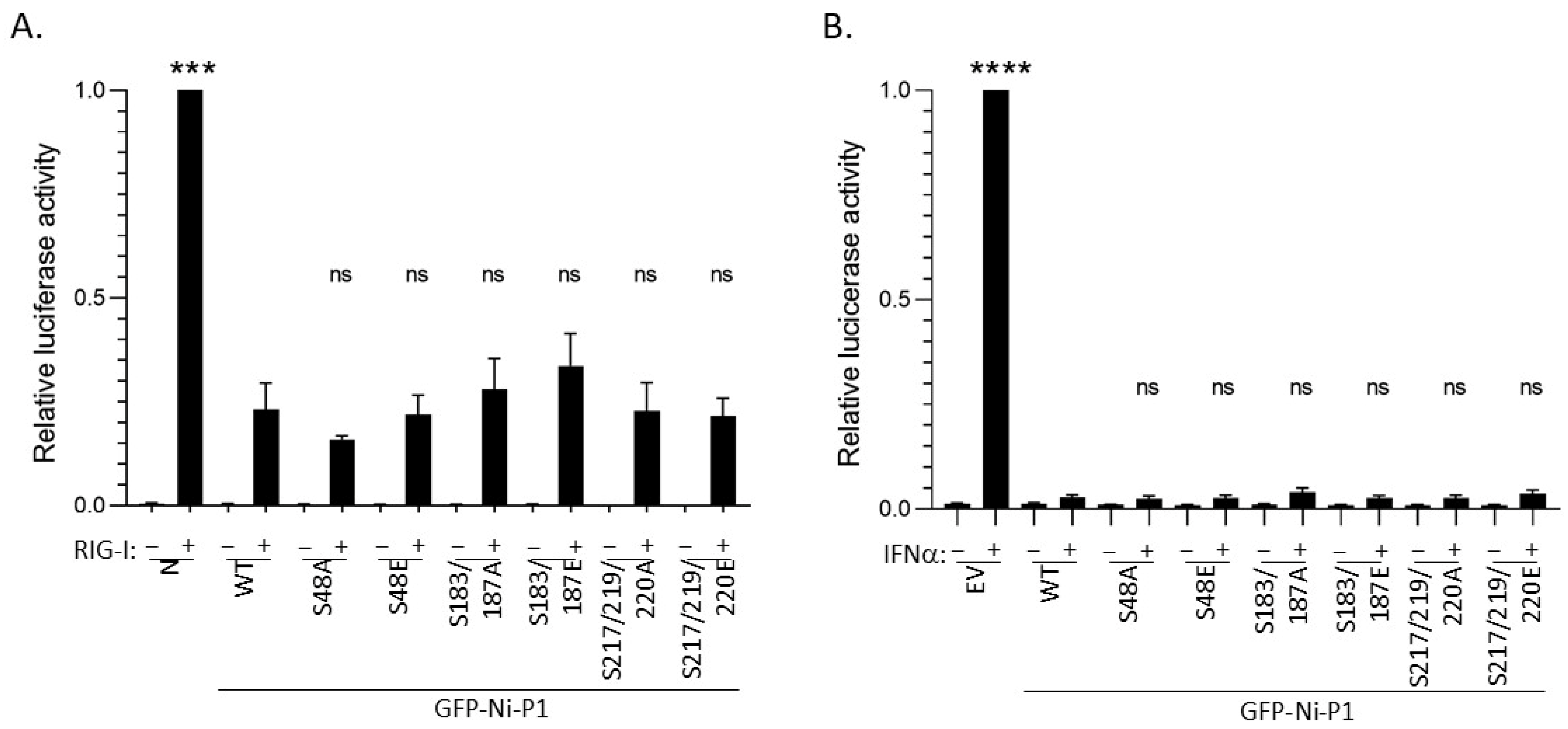 Viruses 17 01075 g004 Viruses 17 01075 g004