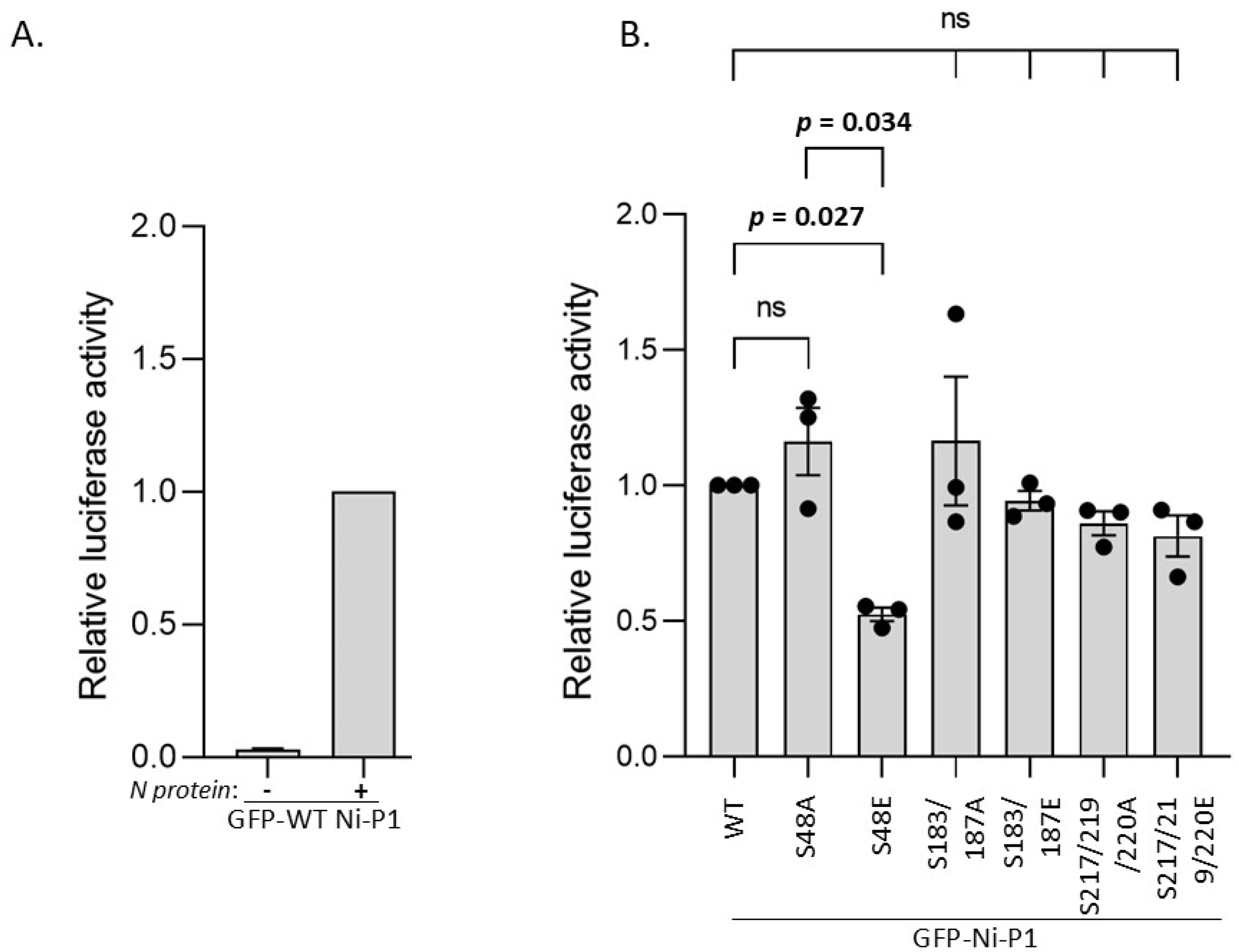 Viruses 17 01075 g005 Viruses 17 01075 g005