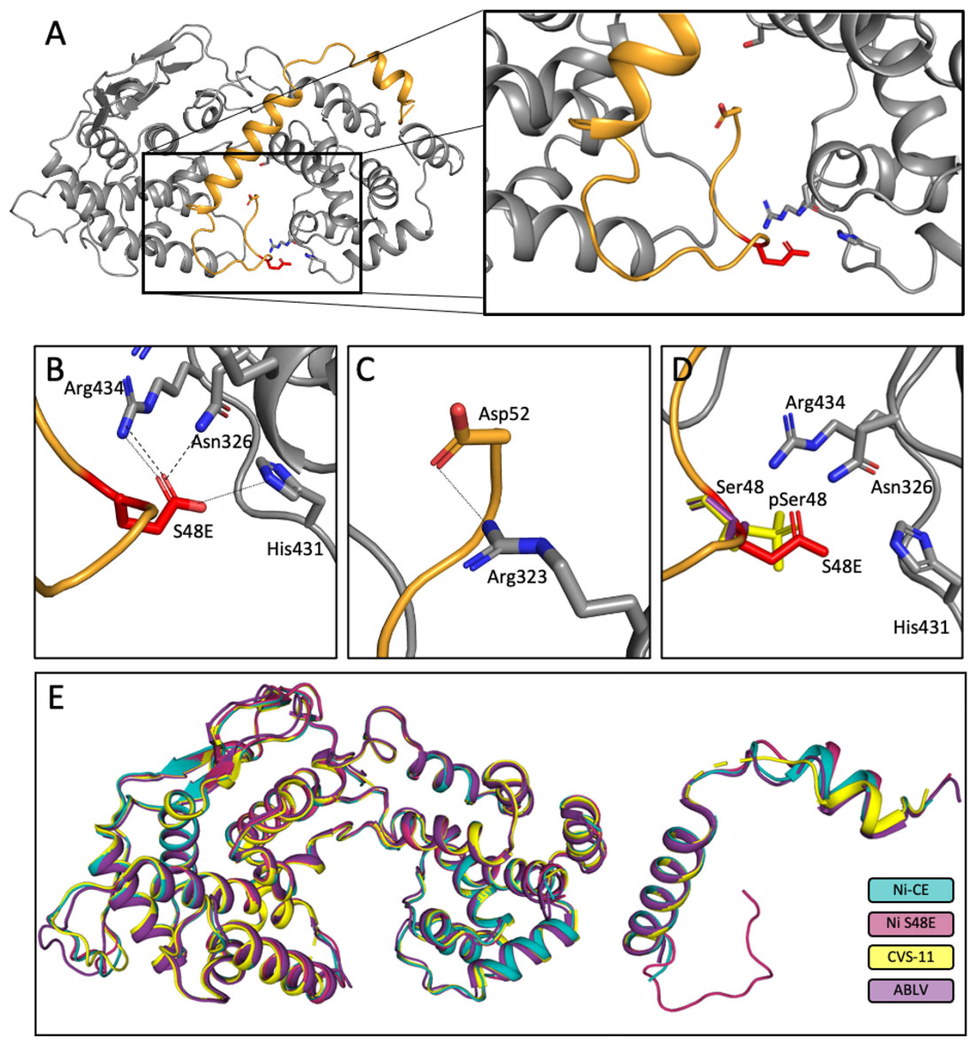 Viruses 17 01075 g007 Viruses 17 01075 g007
