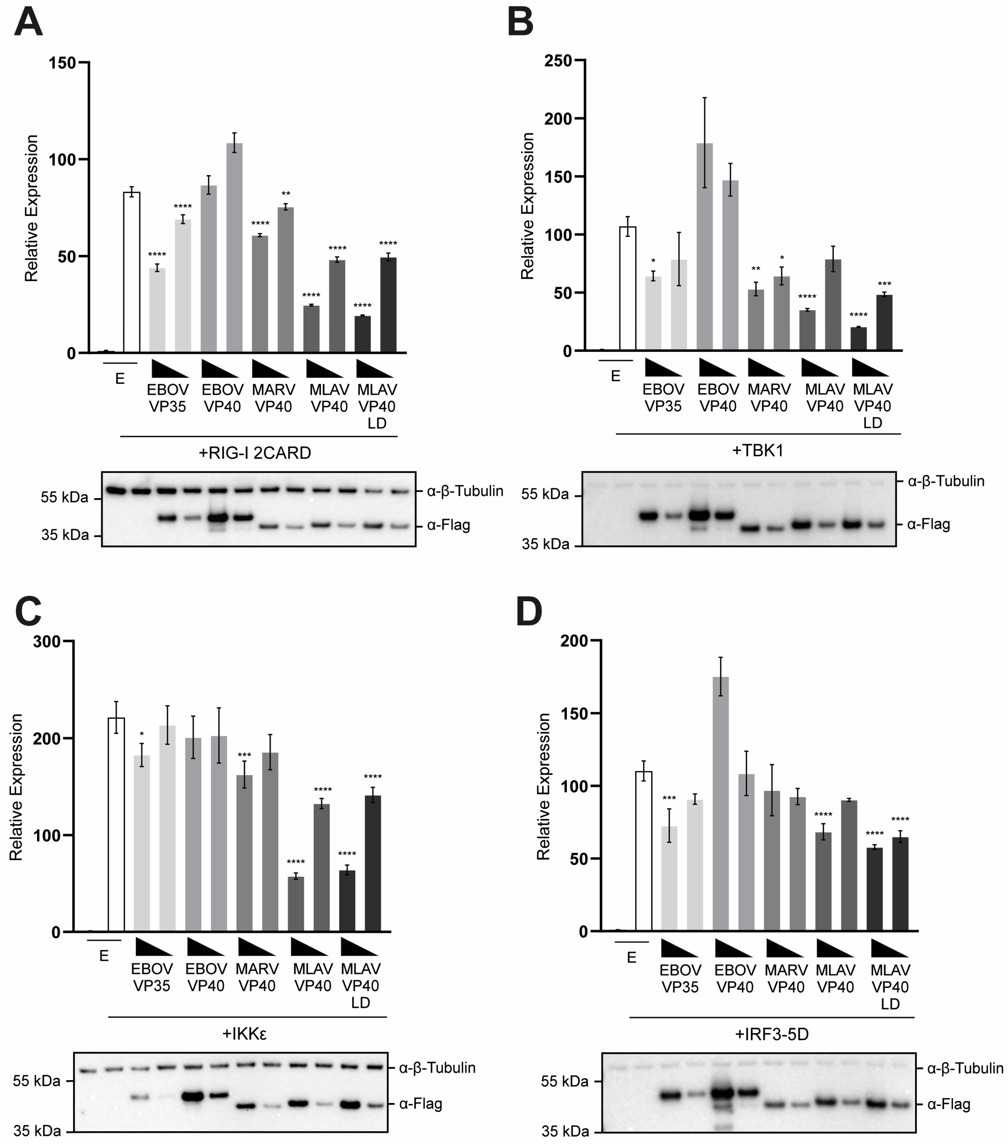Viruses 17 01082 g002 Viruses 17 01082 g002