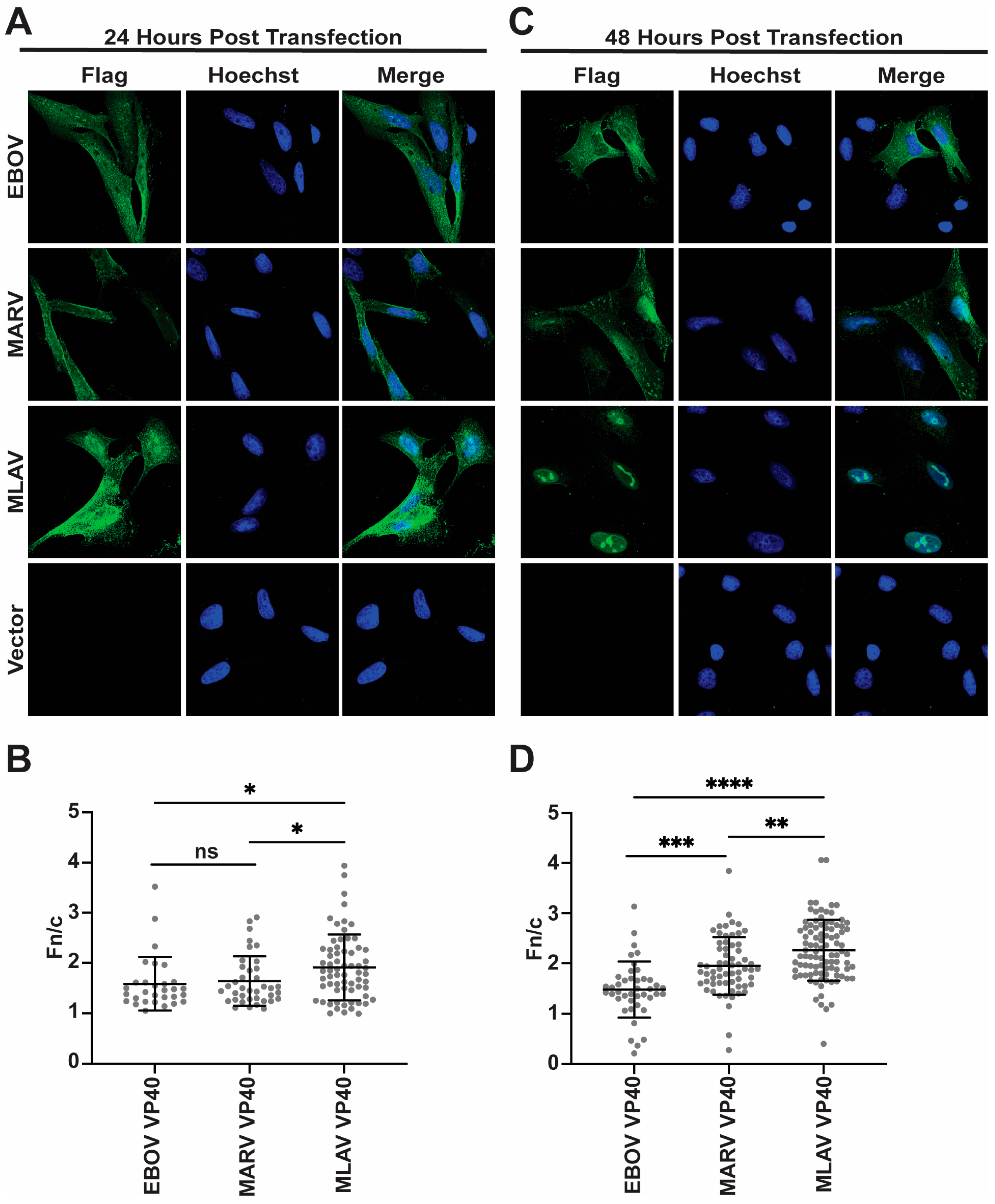 Viruses 17 01082 g004 Viruses 17 01082 g004