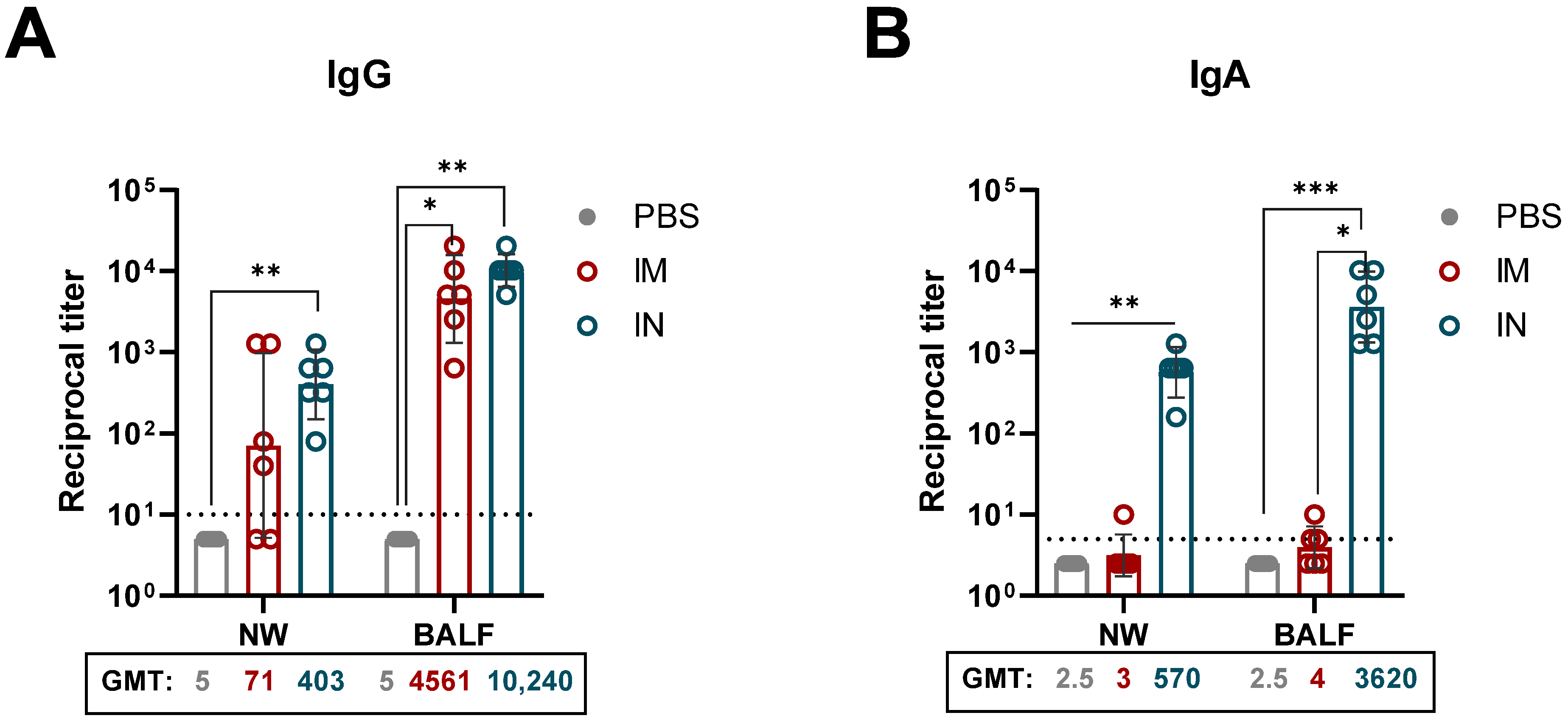 Viruses 17 01085 g004 Viruses 17 01085 g004