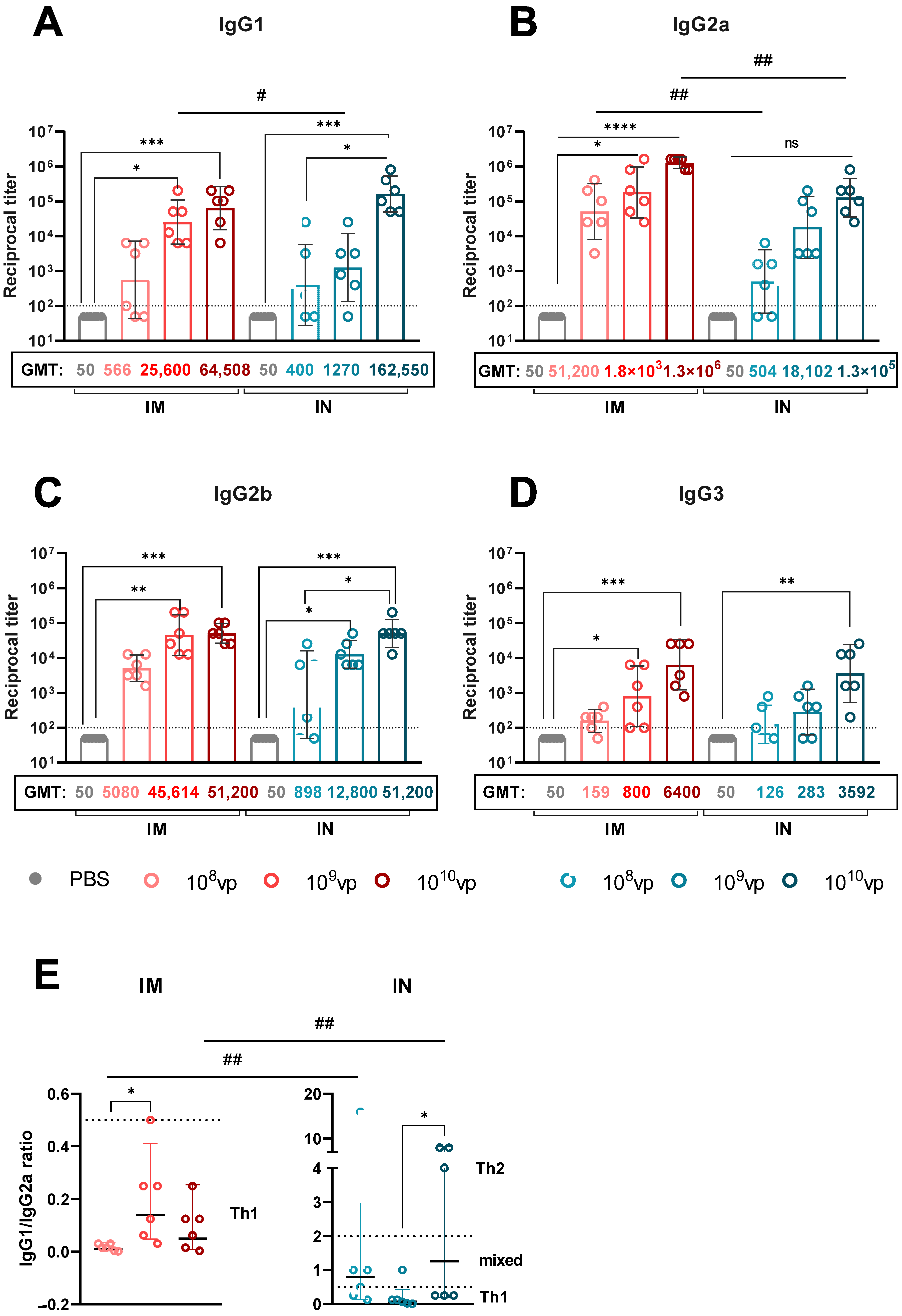 Viruses 17 01085 g005 Viruses 17 01085 g005
